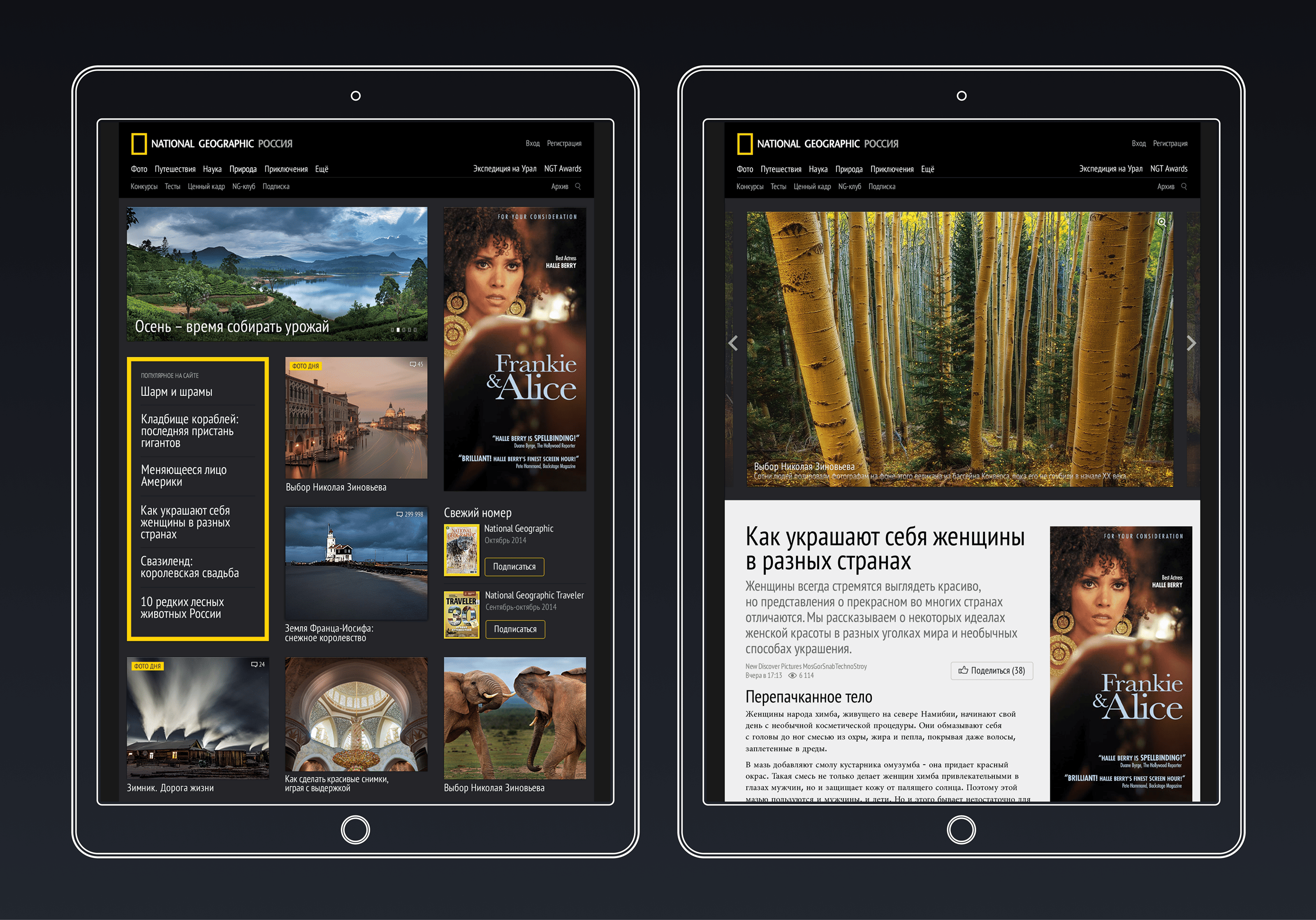 National Geographic Россия — Изображение №3 — Интерфейсы на Dprofile