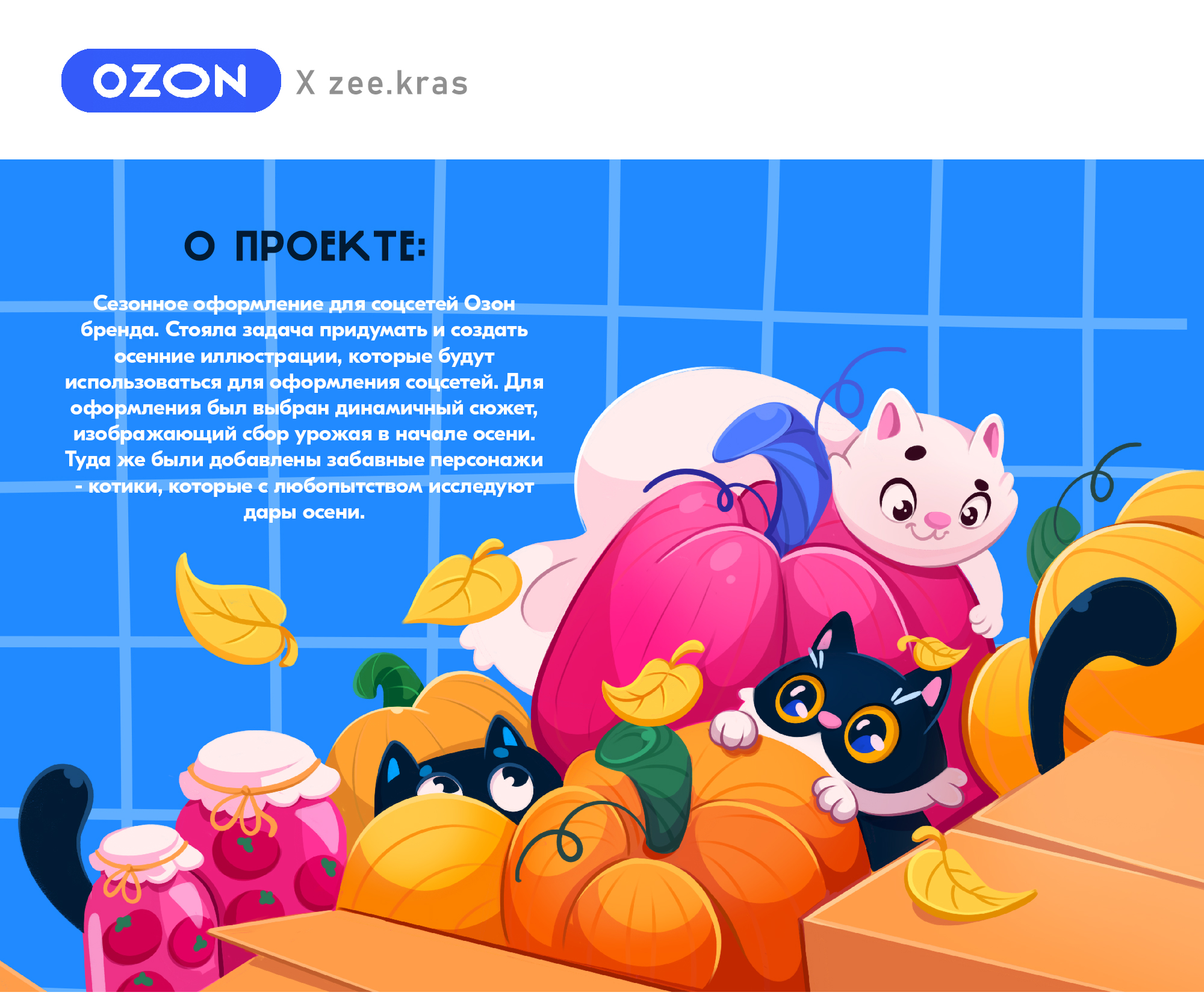 Иллюстрации для соцсетей OZON — Изображение №1 — Иллюстрация на Dprofile
