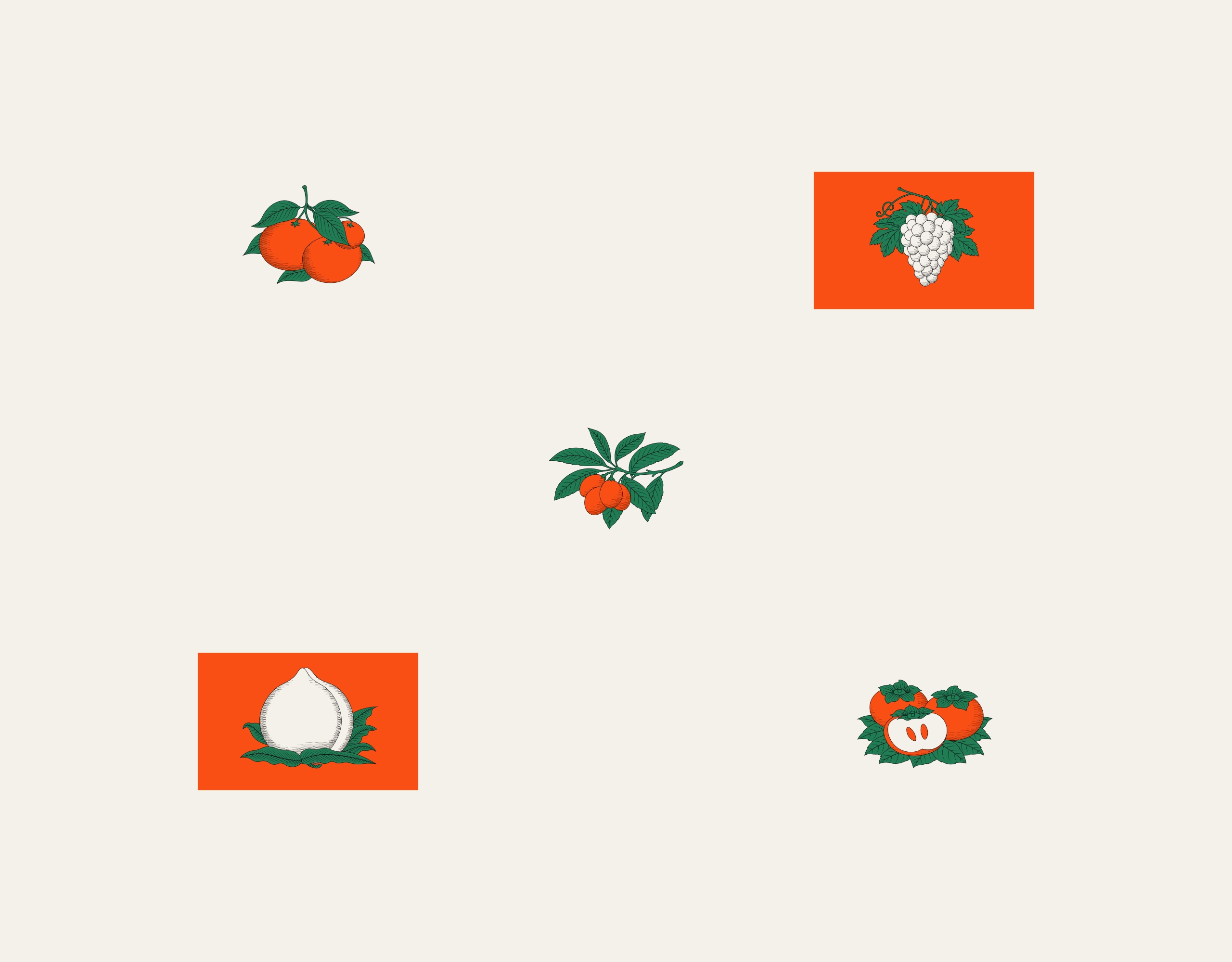 Botanical Matchbox / Design Research — Изображение №12 — Брендинг, 3D на Dprofile