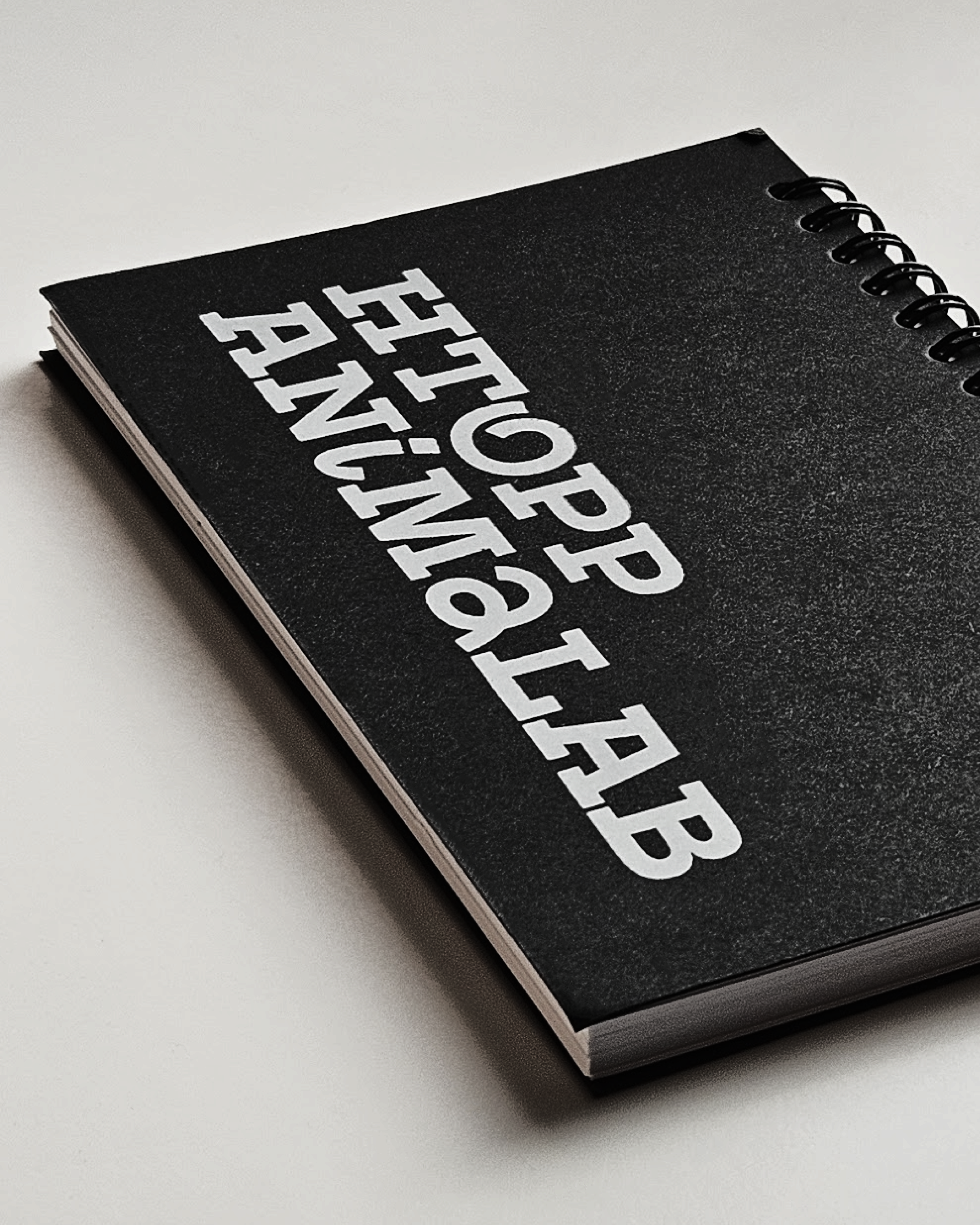 Логотип для Лаборатории анимации — Изображение №4 — Брендинг, Графика на Dprofile