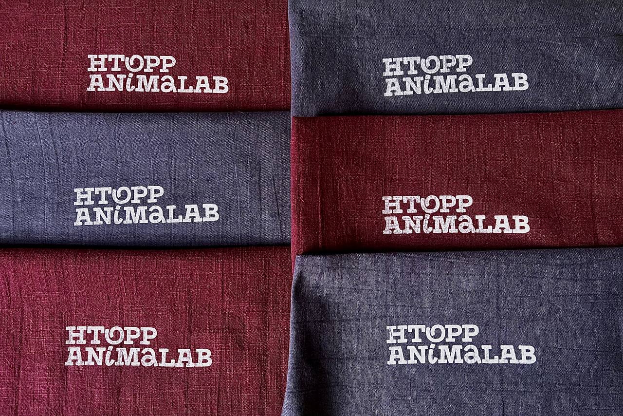 Логотип для Лаборатории анимации — Изображение №5 — Брендинг, Графика на Dprofile