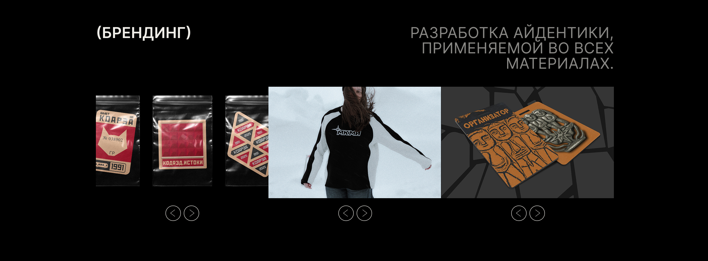 ЛЕНДИНГ - ПОРТФОЛИО — Изображение №6 — Интерфейсы, Брендинг на Dprofile