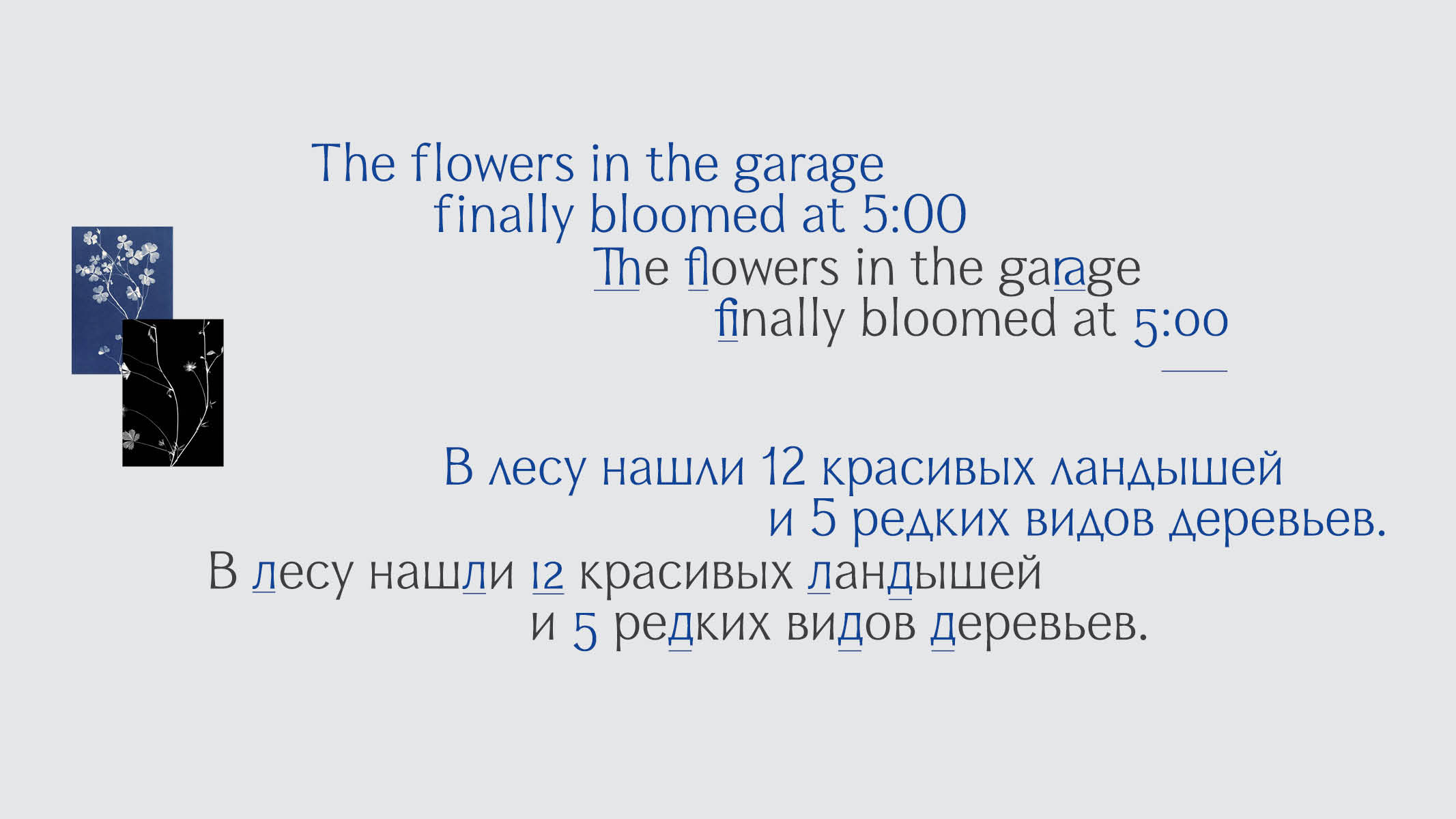 Oprah type — Изображение №15 — Графика на Dprofile