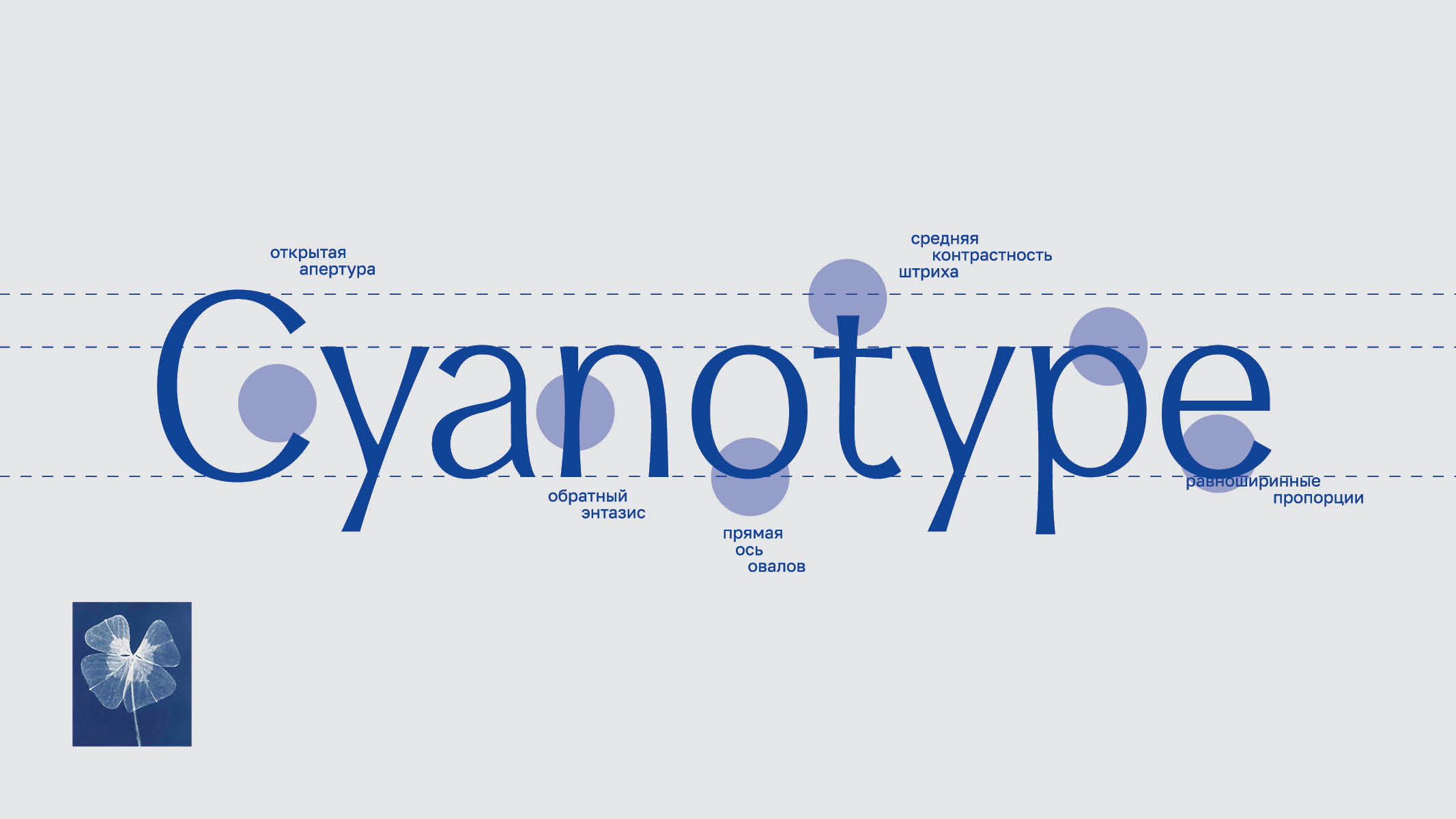Oprah type — Изображение №3 — Графика на Dprofile