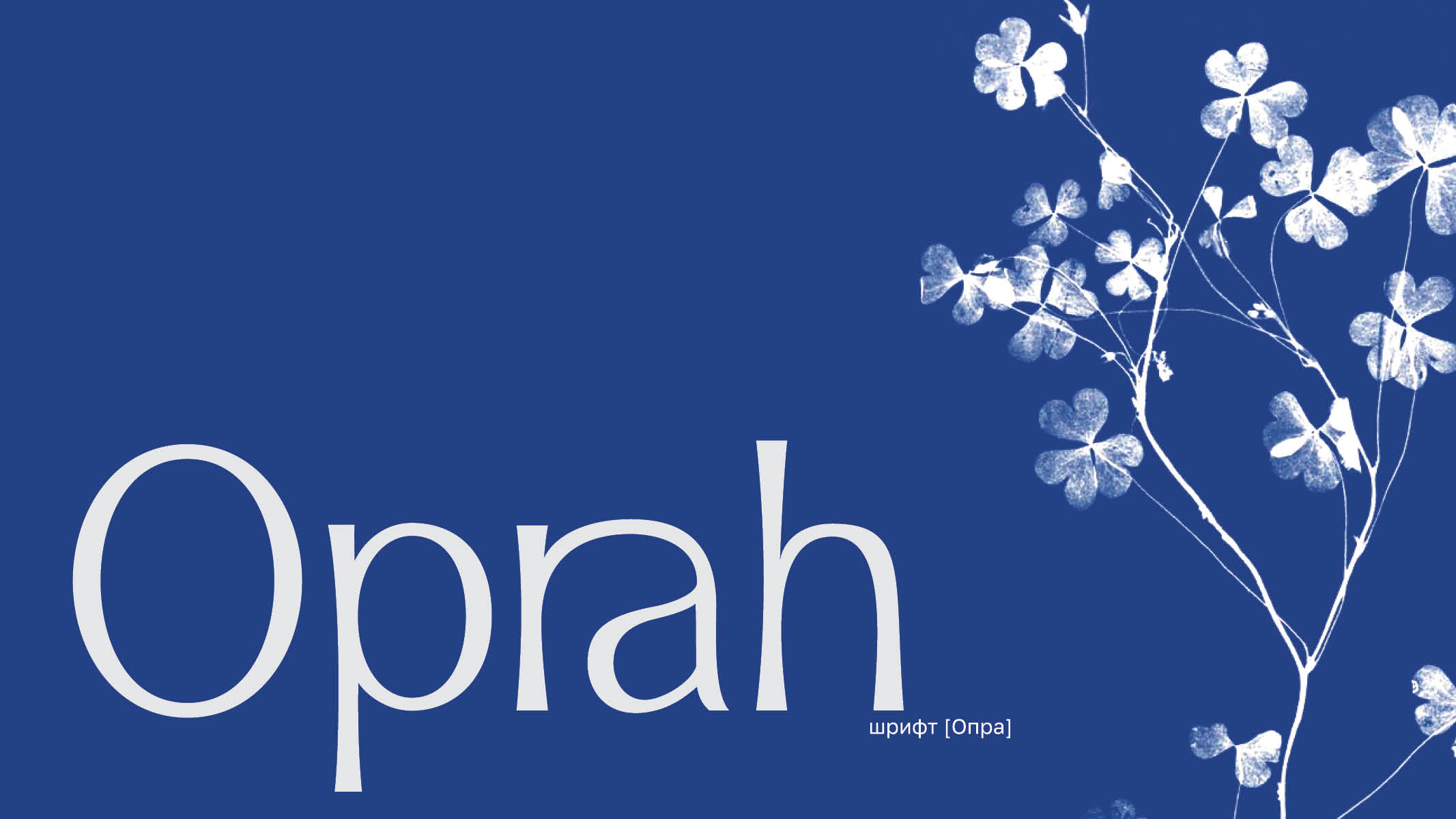 Oprah type — Изображение №1 — Графика на Dprofile