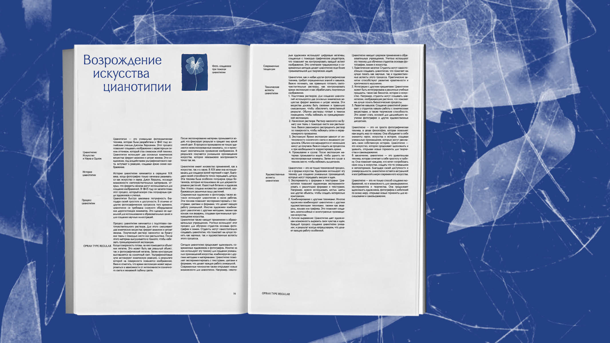 Oprah type — Изображение №24 — Графика на Dprofile