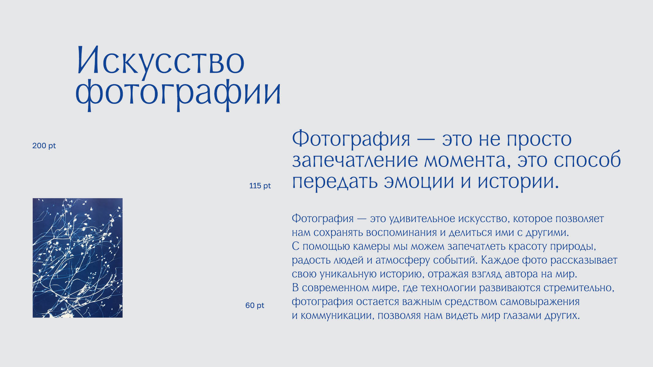 Oprah type — Изображение №19 — Графика на Dprofile