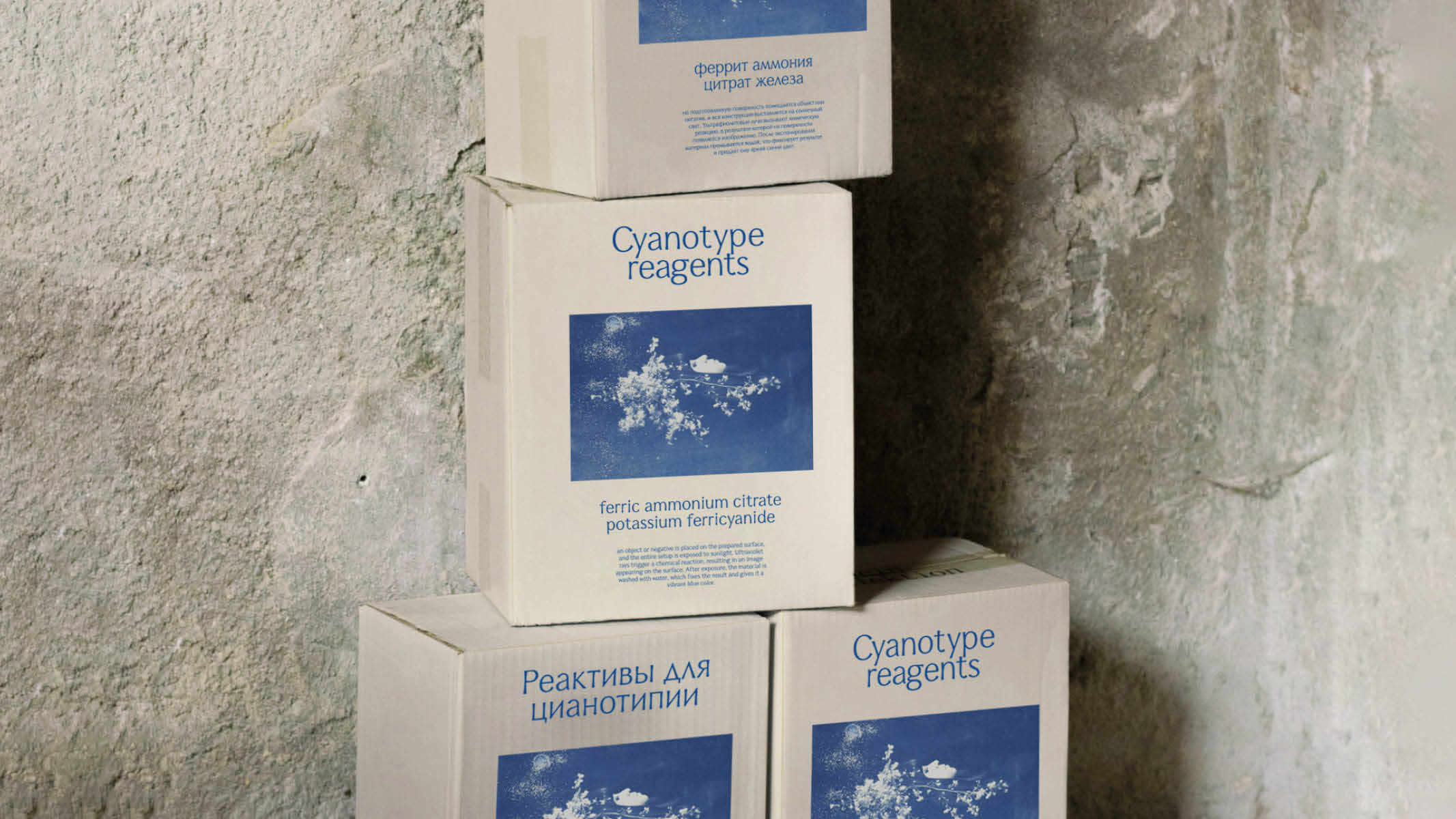 Oprah type — Изображение №20 — Графика на Dprofile