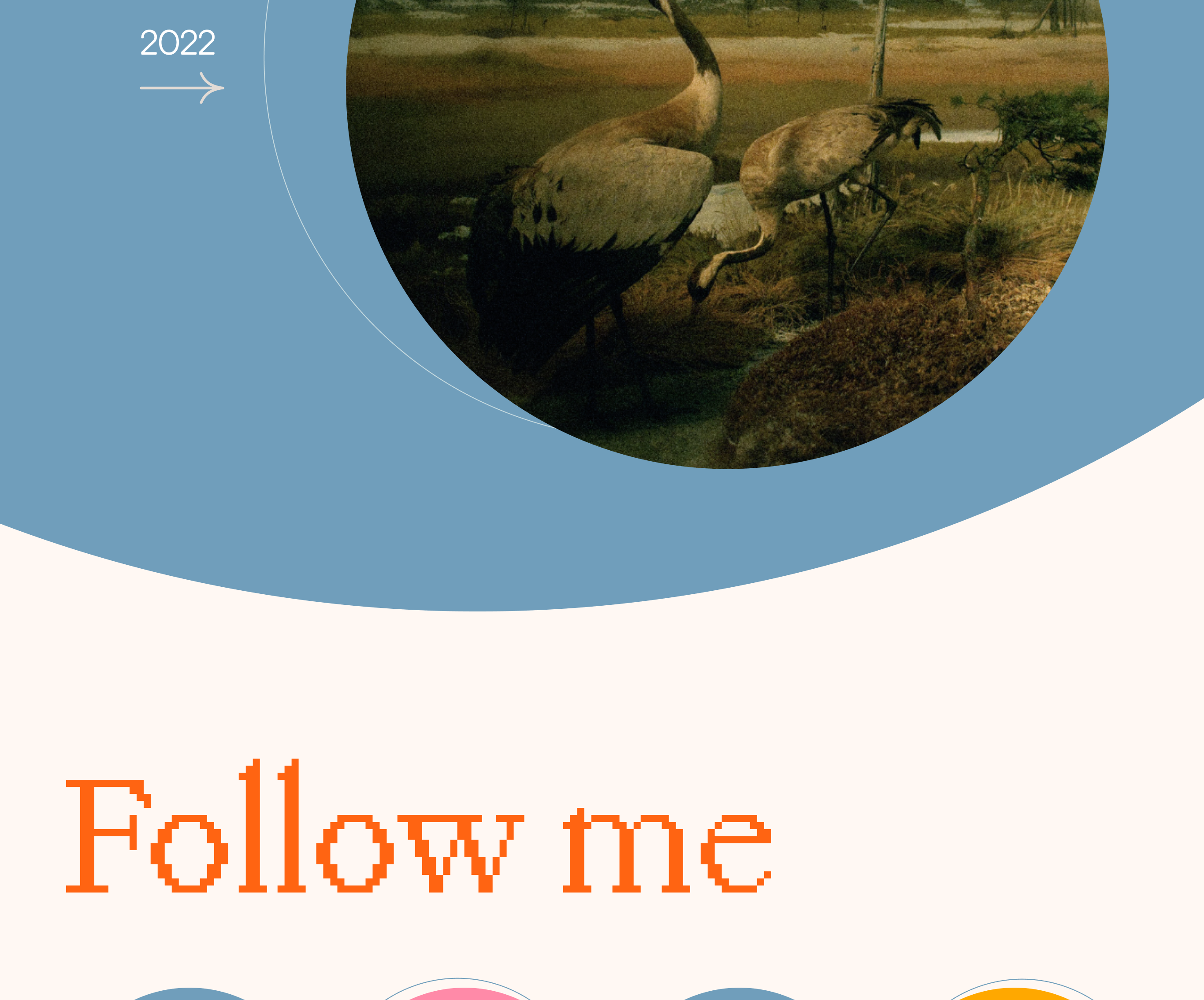 Сайт-визитка для музыканта — Изображение №4 — Брендинг на Dprofile