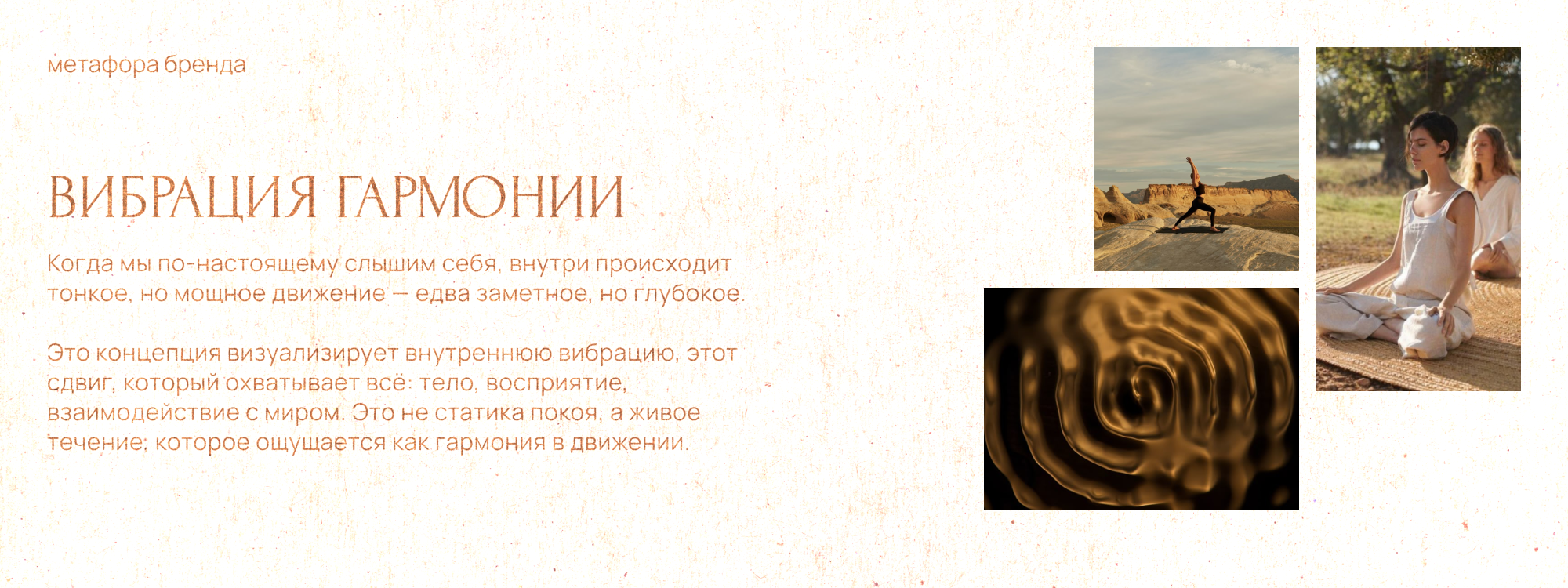 Семинар Мингьюра Ринпоче | Айдентика & Сайт — Изображение №6 — Брендинг на Dprofile