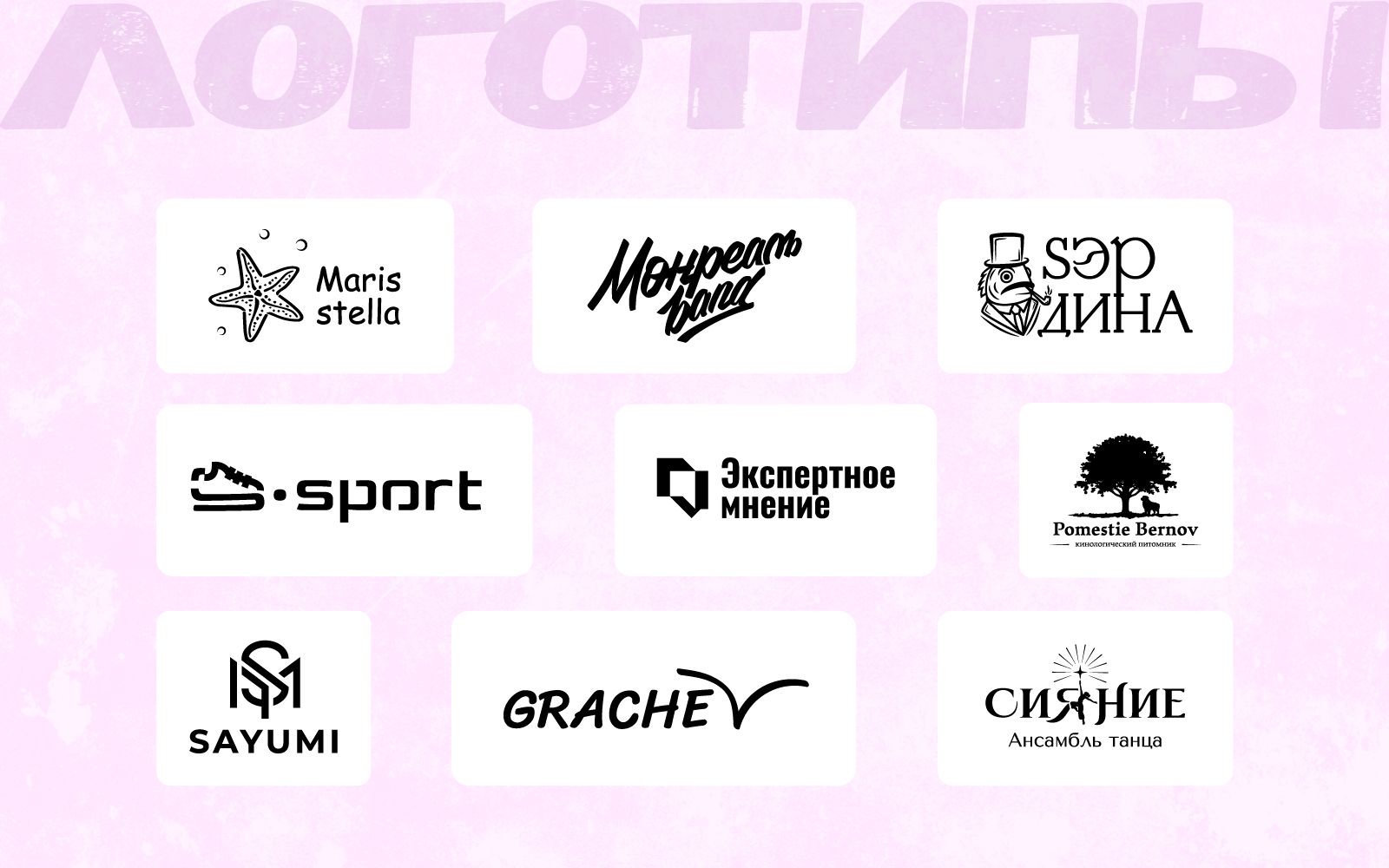 Портфолио графического дизайнера — Изображение №3 — Брендинг, Графика на Dprofile