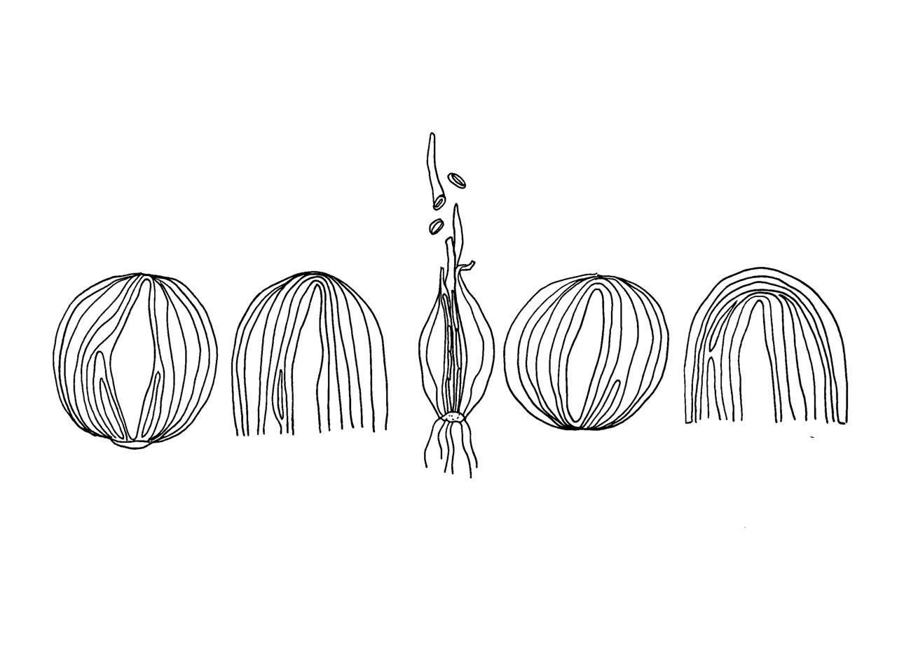 Inktober2025 леттеринг — Изображение №28 — Графика на Dprofile