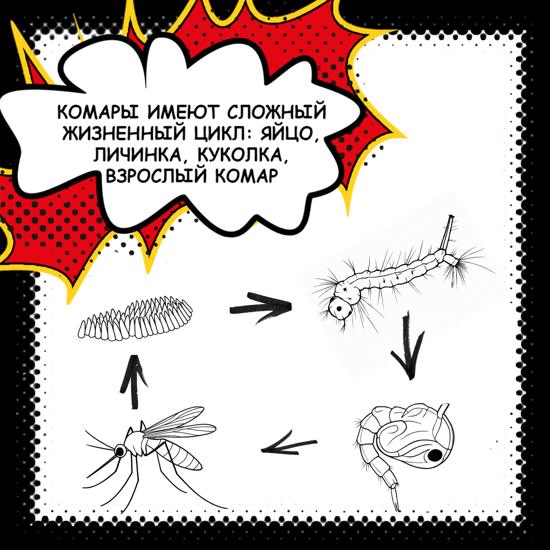 Комикс — Изображение №9 — Иллюстрация, Маркетинг на Dprofile