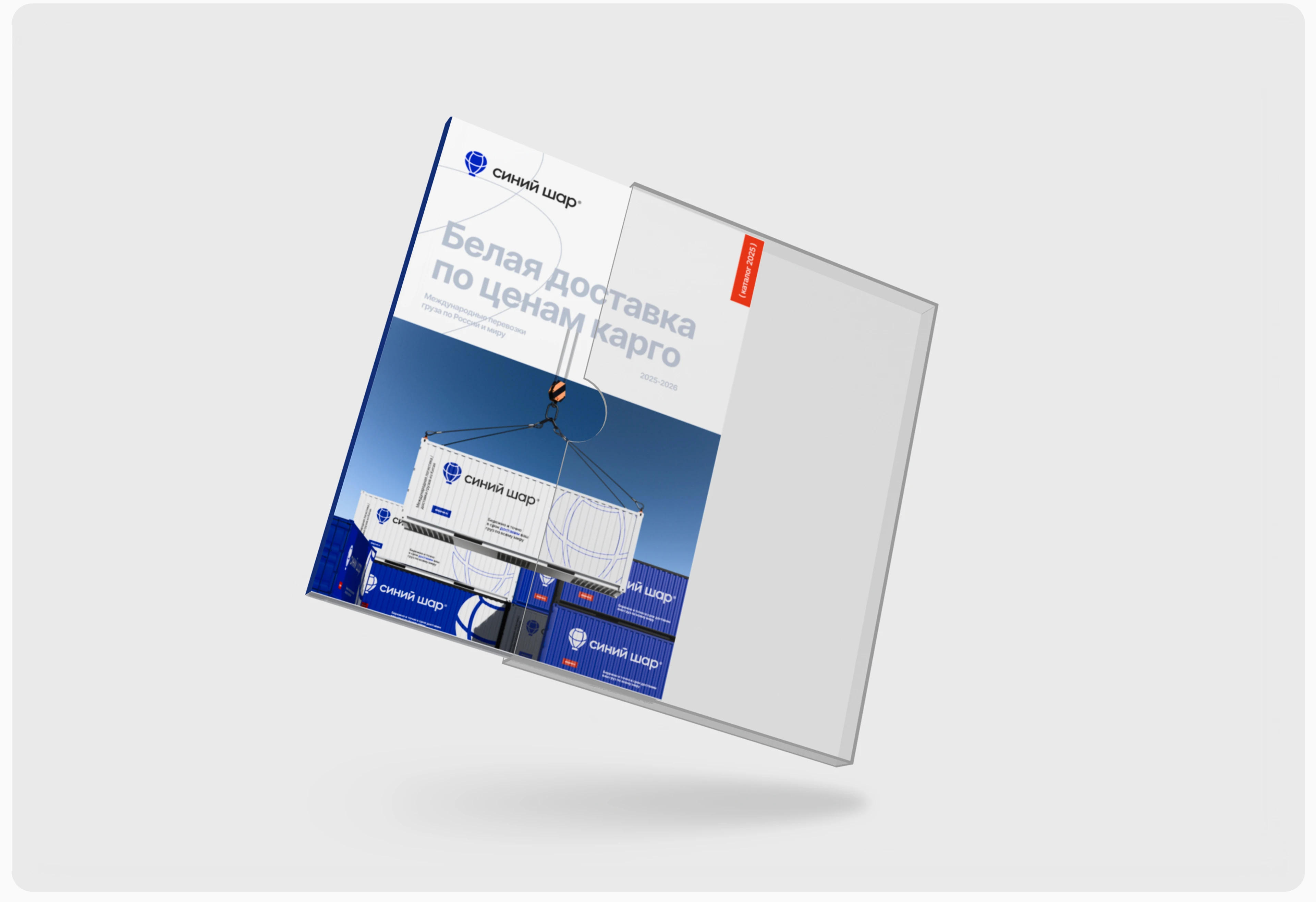 Синий шар | Логистика | Ребрендинг — Изображение №13 — Брендинг на Dprofile