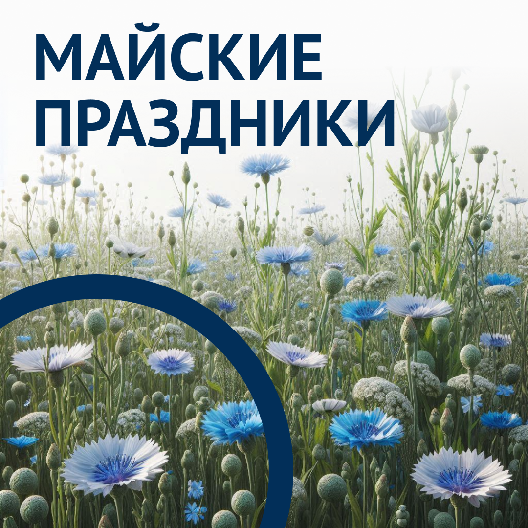 SMM visuals for Cordiant Team — Изображение №18 — Брендинг, Маркетинг на Dprofile