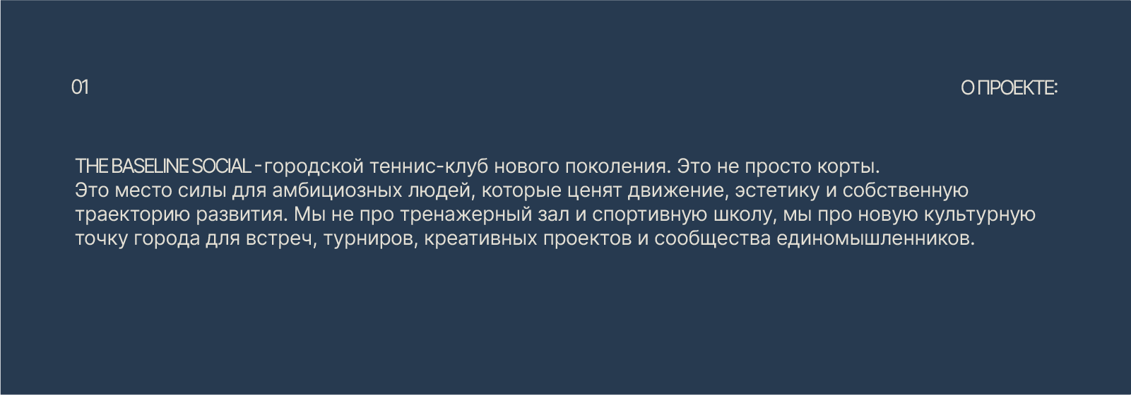 Логотип для теннисного клуба | The Baseline social — Изображение №2 — Брендинг на Dprofile