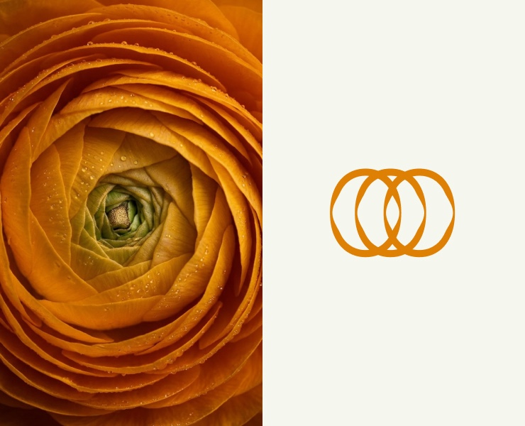 Bell Flowers/Фирменный стиль — Брендинг, Графика на Dprofile