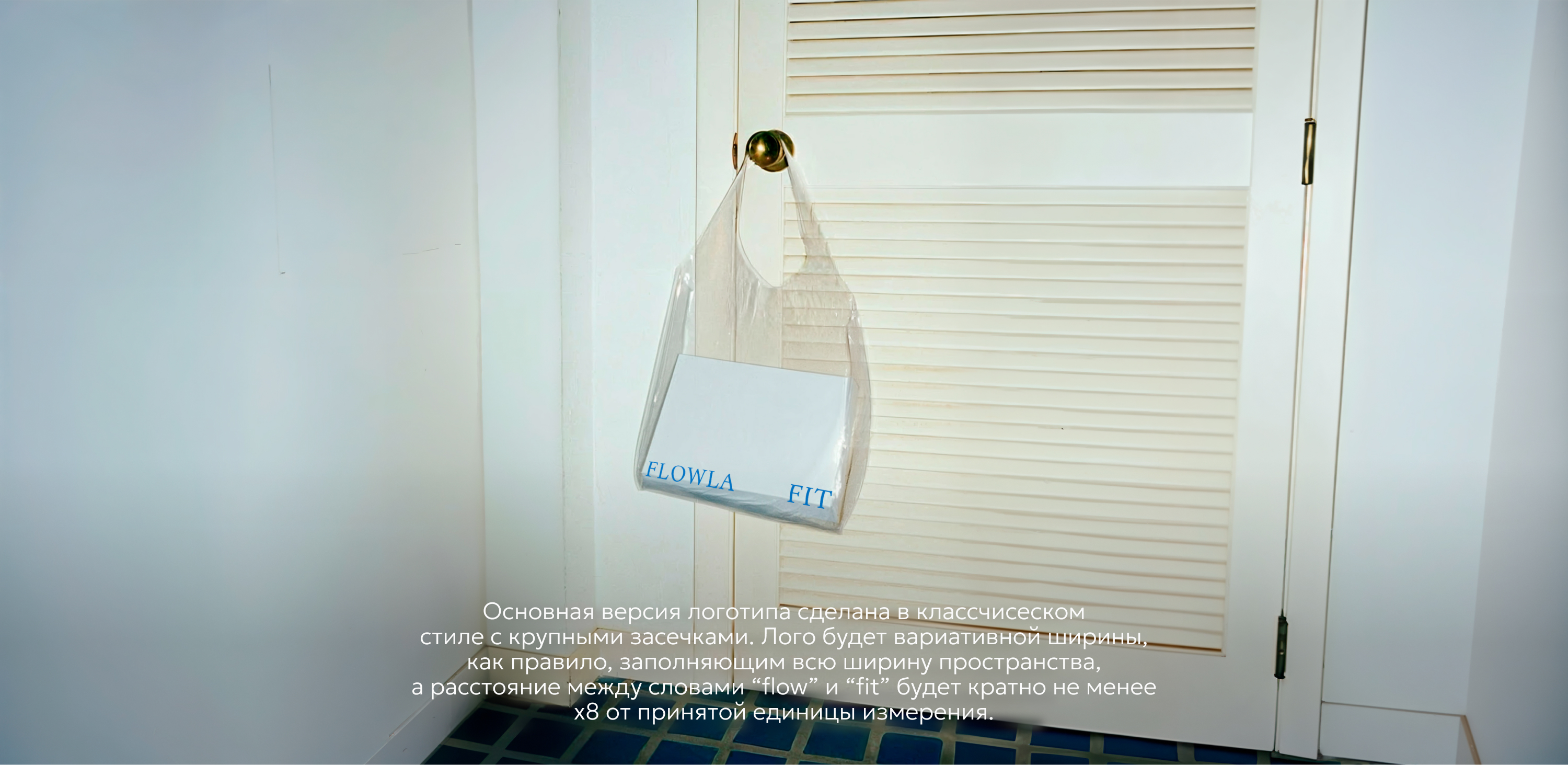 Flowla Fit — Изображение №4 — Брендинг на Dprofile