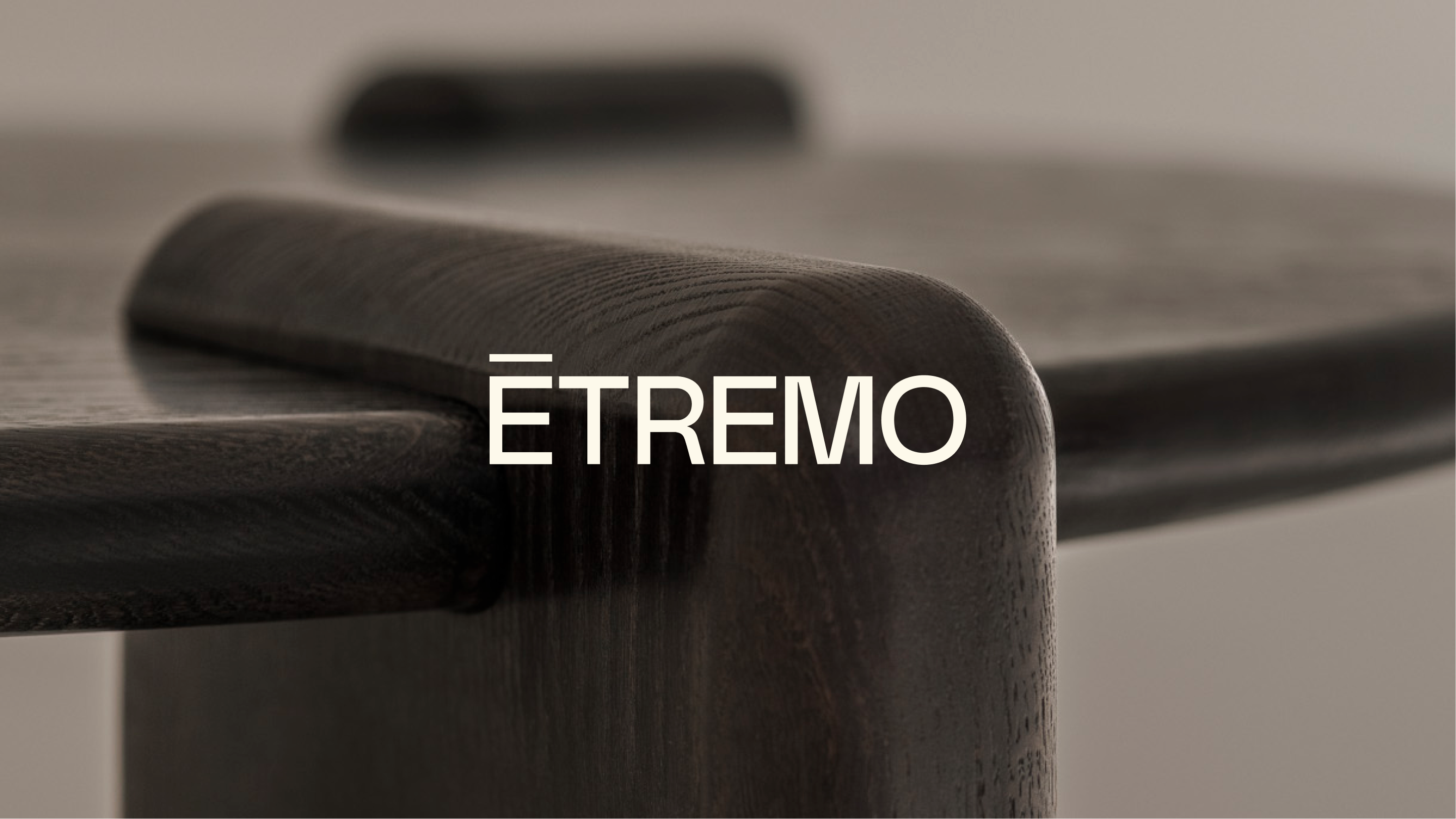 Etremo / Фирменный стиль — Изображение №1 — Брендинг на Dprofile