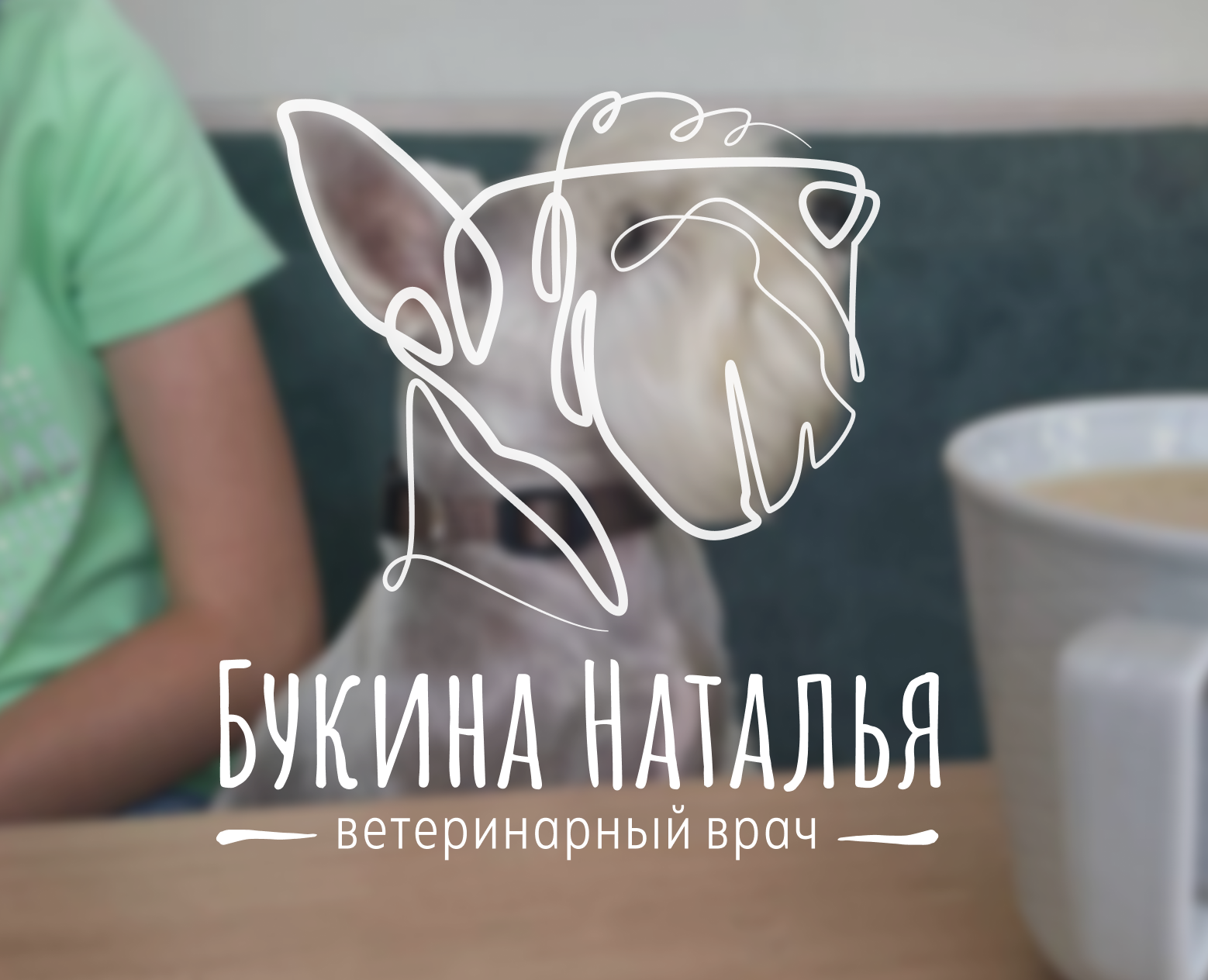 Логотип для ветерина — Брендинг на Dprofile