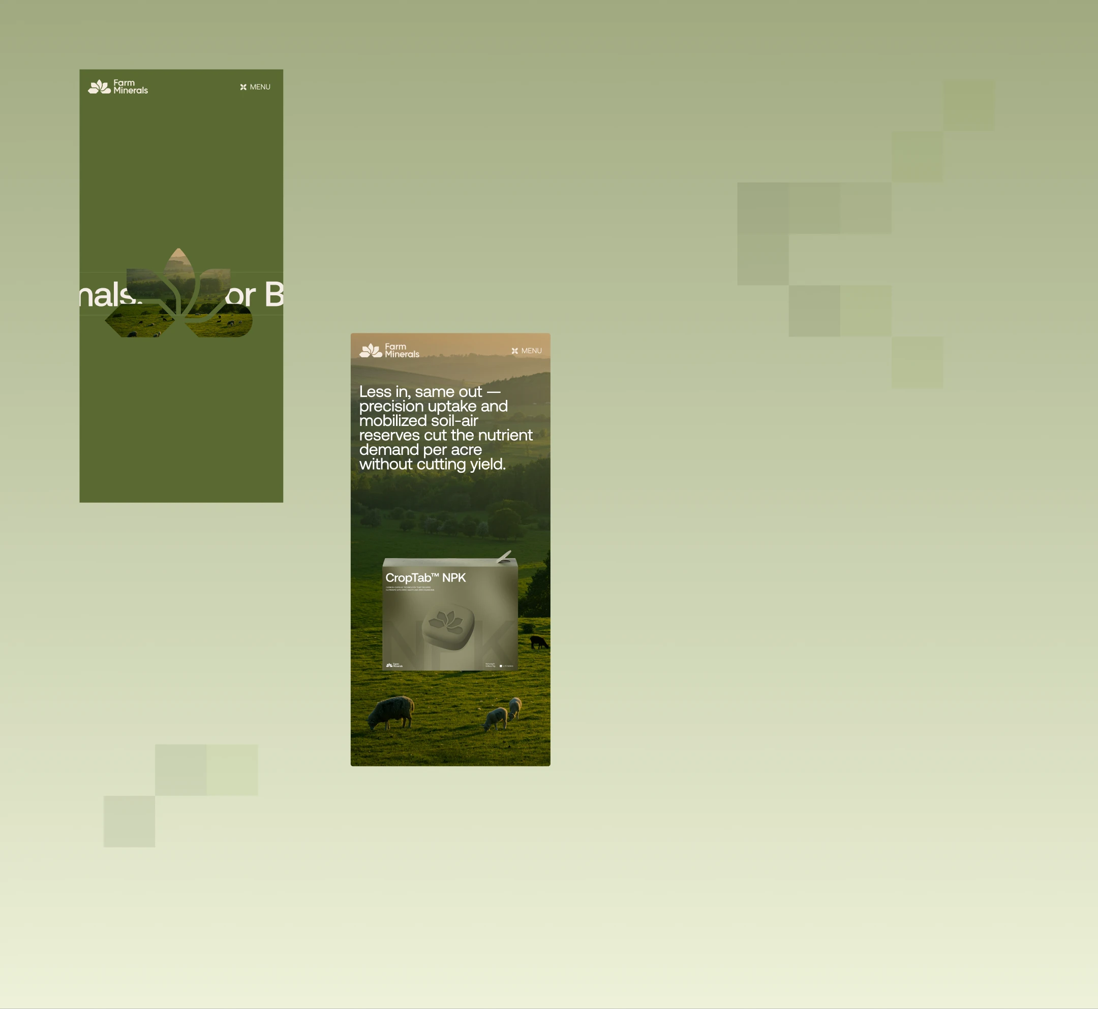 Farm Minerals / брендинг, сайт, упаковка — Изображение №4 — Брендинг, 3D на Dprofile