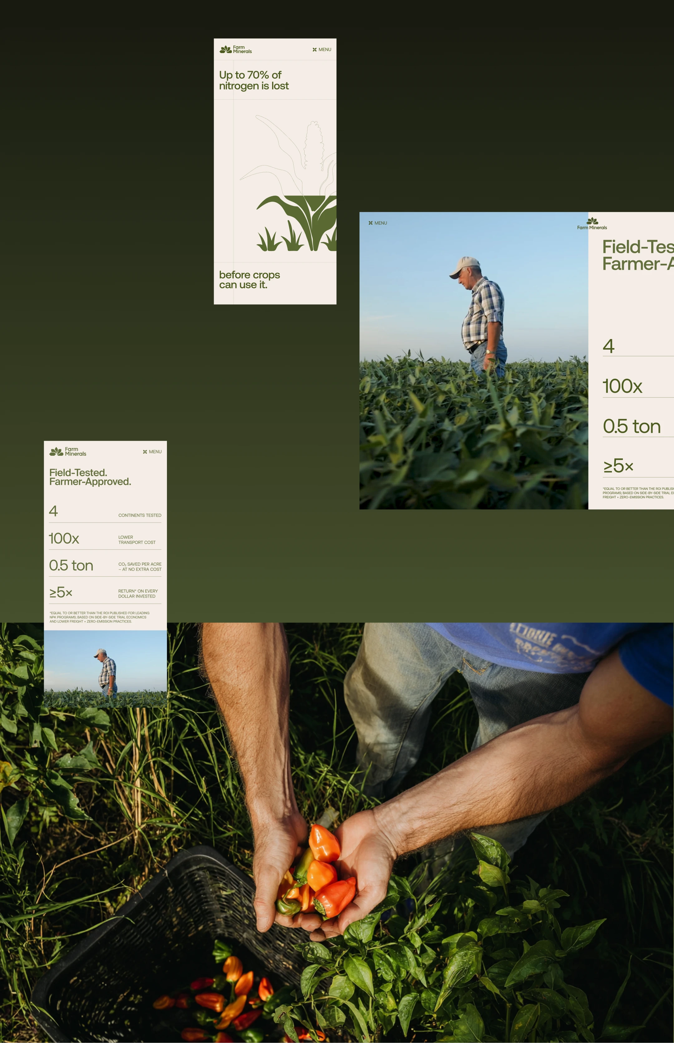 Farm Minerals / брендинг, сайт, упаковка — Изображение №3 — Брендинг, 3D на Dprofile