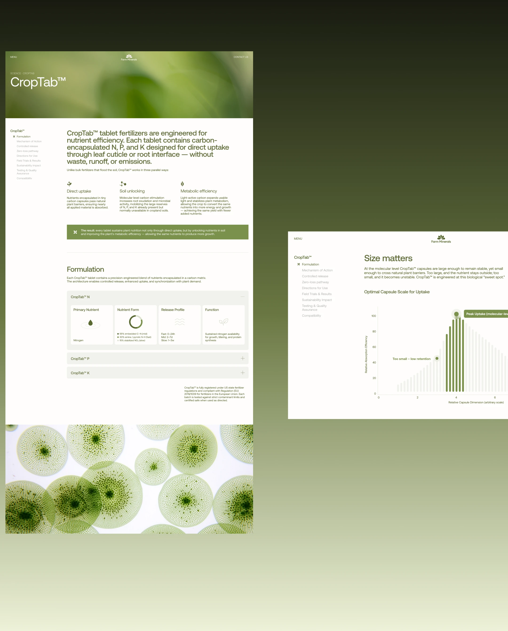 Farm Minerals / брендинг, сайт, упаковка — Изображение №11 — Брендинг, 3D на Dprofile