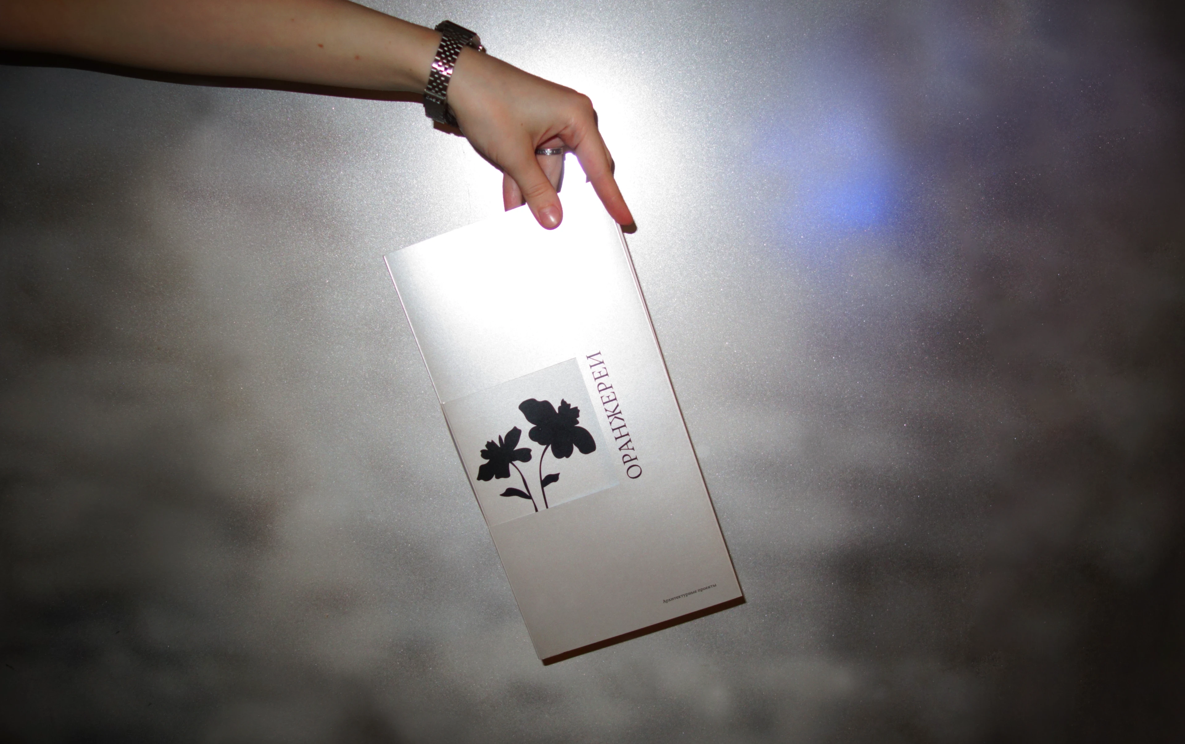 Оранжереи. Архитектурная брошюра. — Изображение №9 — Графика на Dprofile