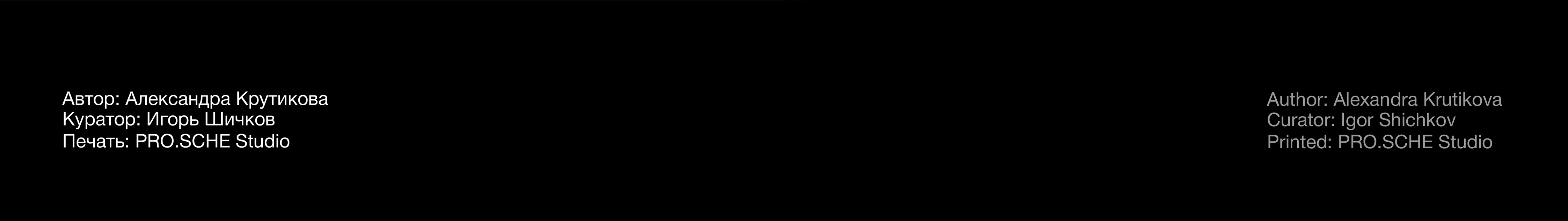 Оранжереи. Архитектурная брошюра. — Изображение №12 — Графика на Dprofile