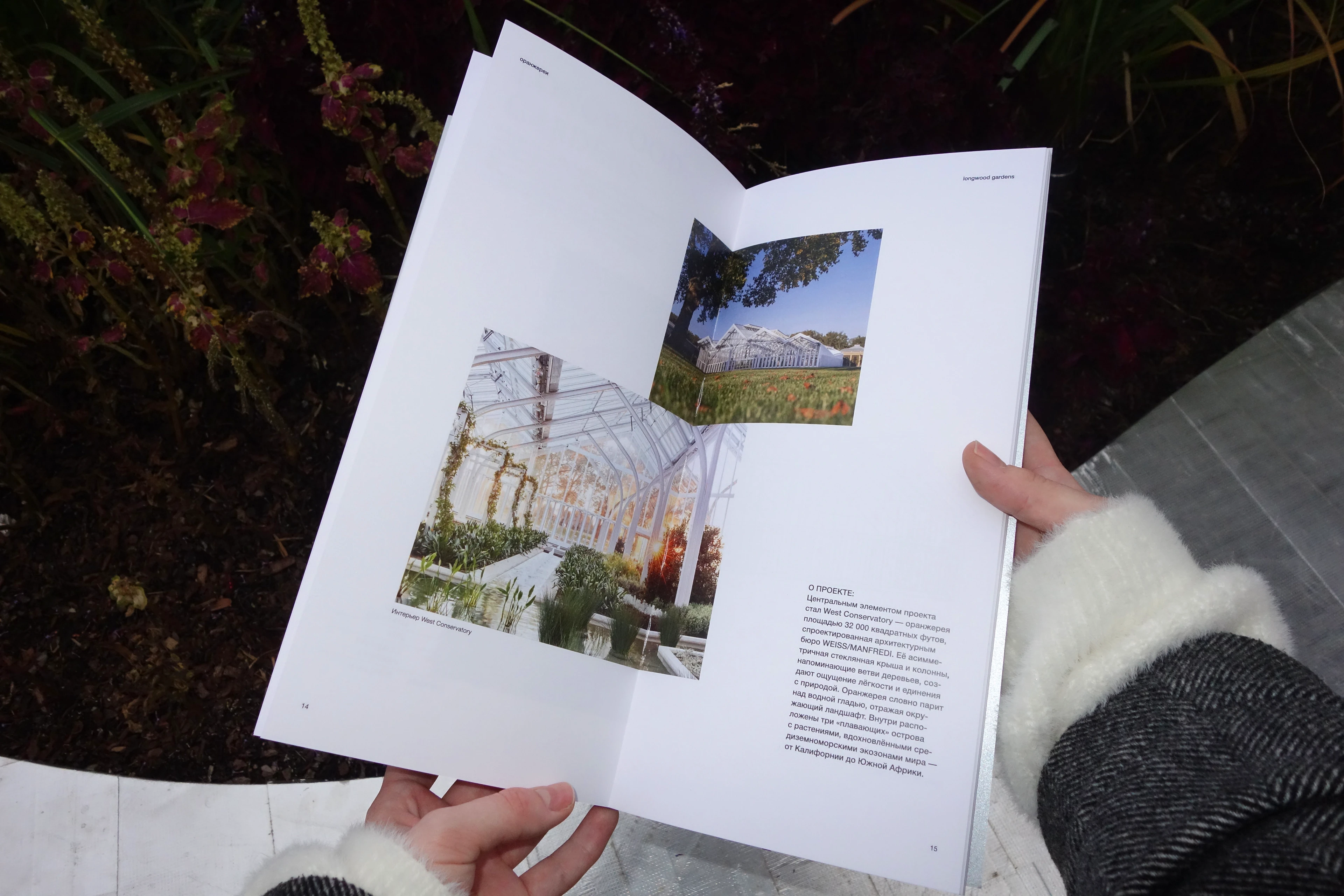 Оранжереи. Архитектурная брошюра. — Изображение №11 — Графика на Dprofile