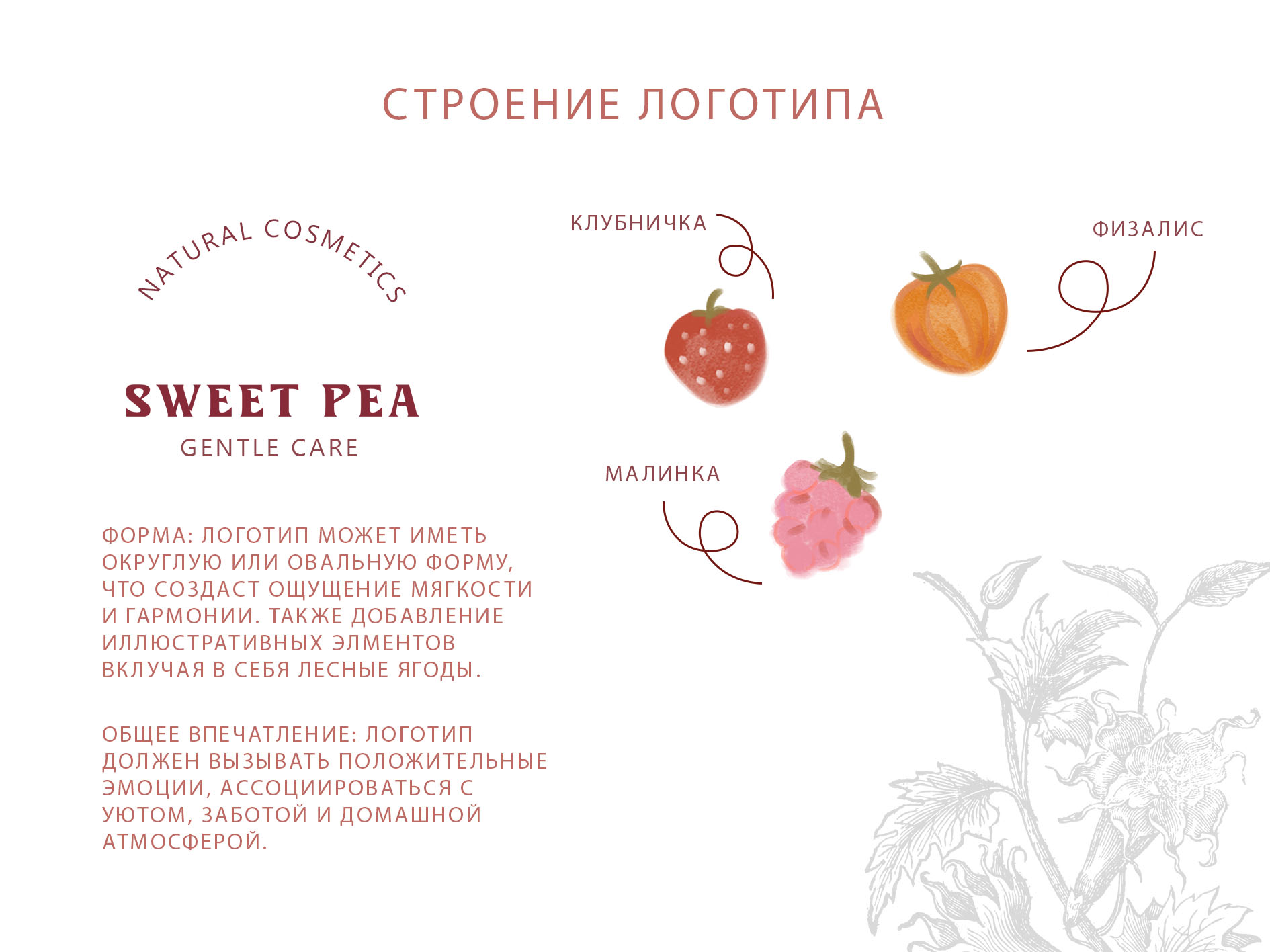 Sweet Pea Фирменный стиль — Изображение №13 — Брендинг на Dprofile