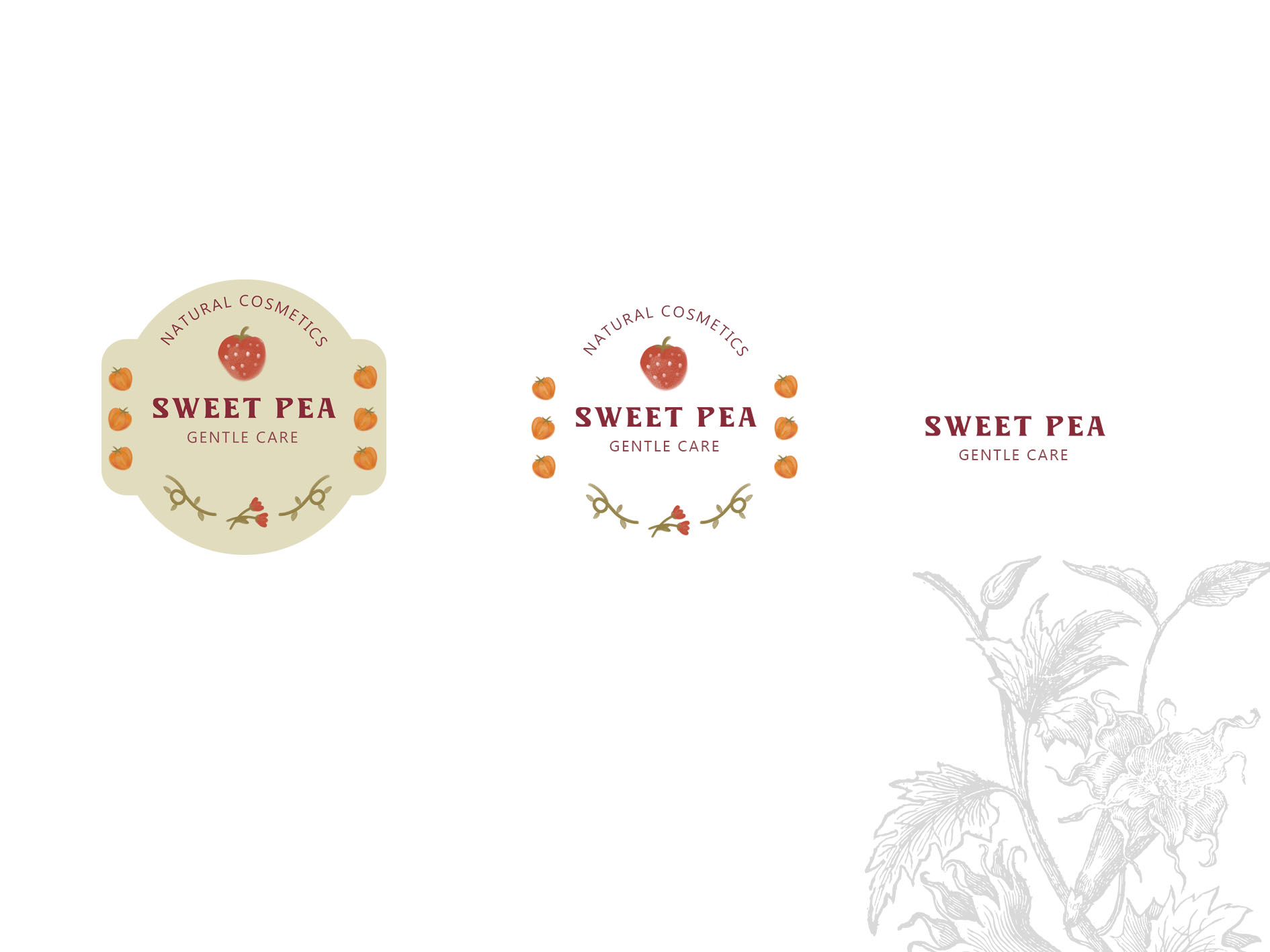 Sweet Pea Фирменный стиль — Изображение №12 — Брендинг на Dprofile