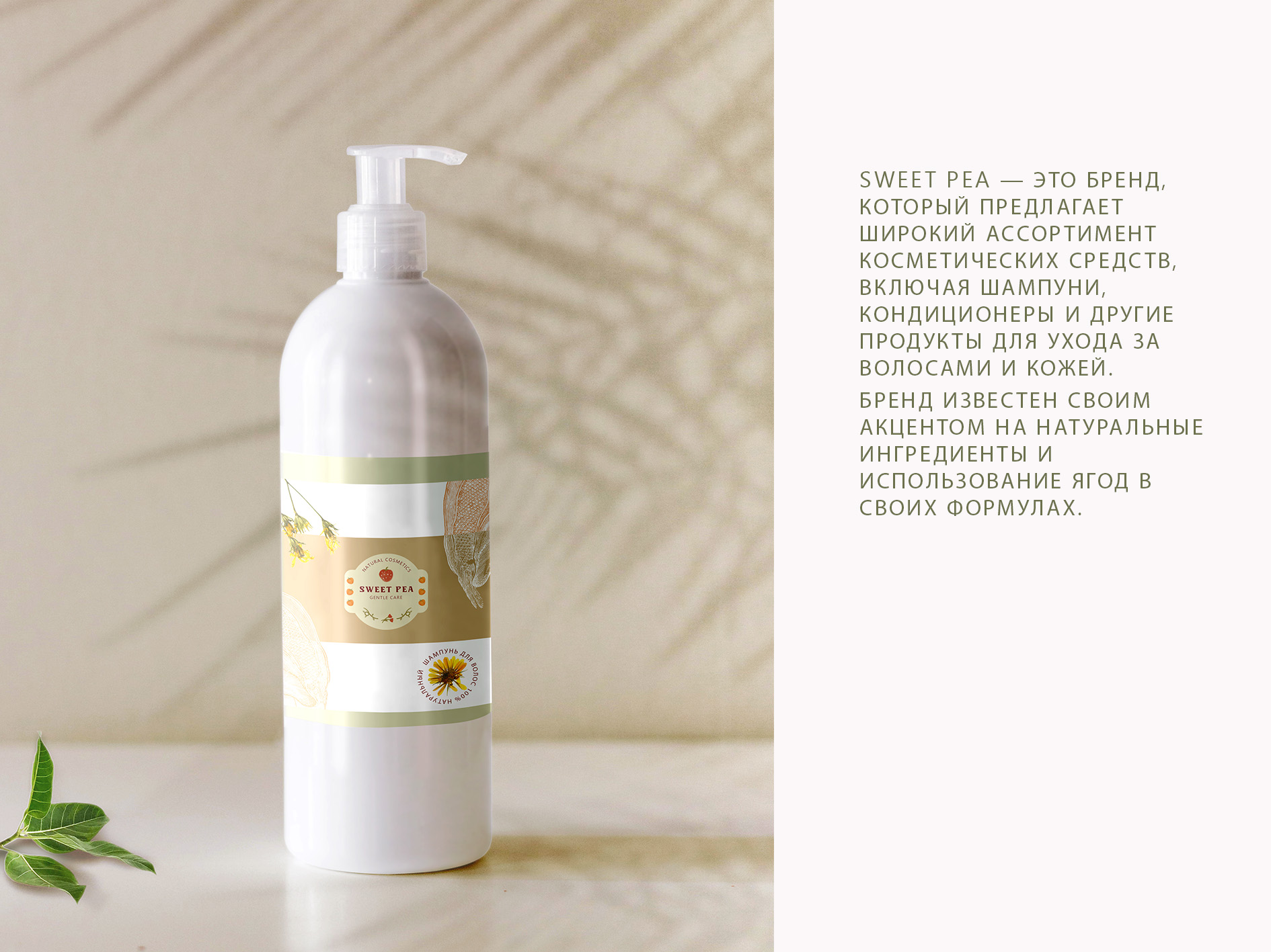 Sweet Pea Фирменный стиль — Изображение №3 — Брендинг на Dprofile