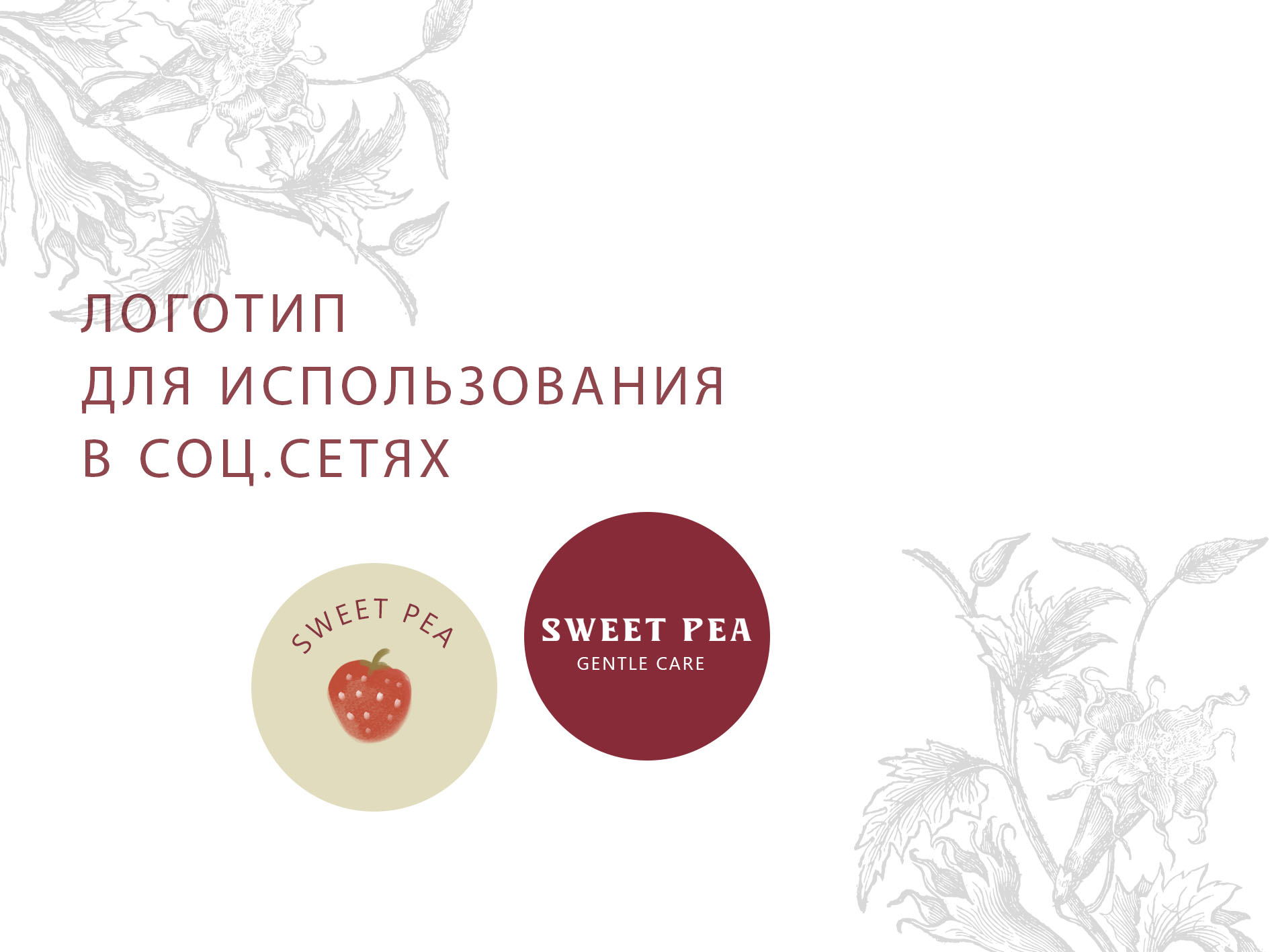 Sweet Pea Фирменный стиль — Изображение №17 — Брендинг на Dprofile
