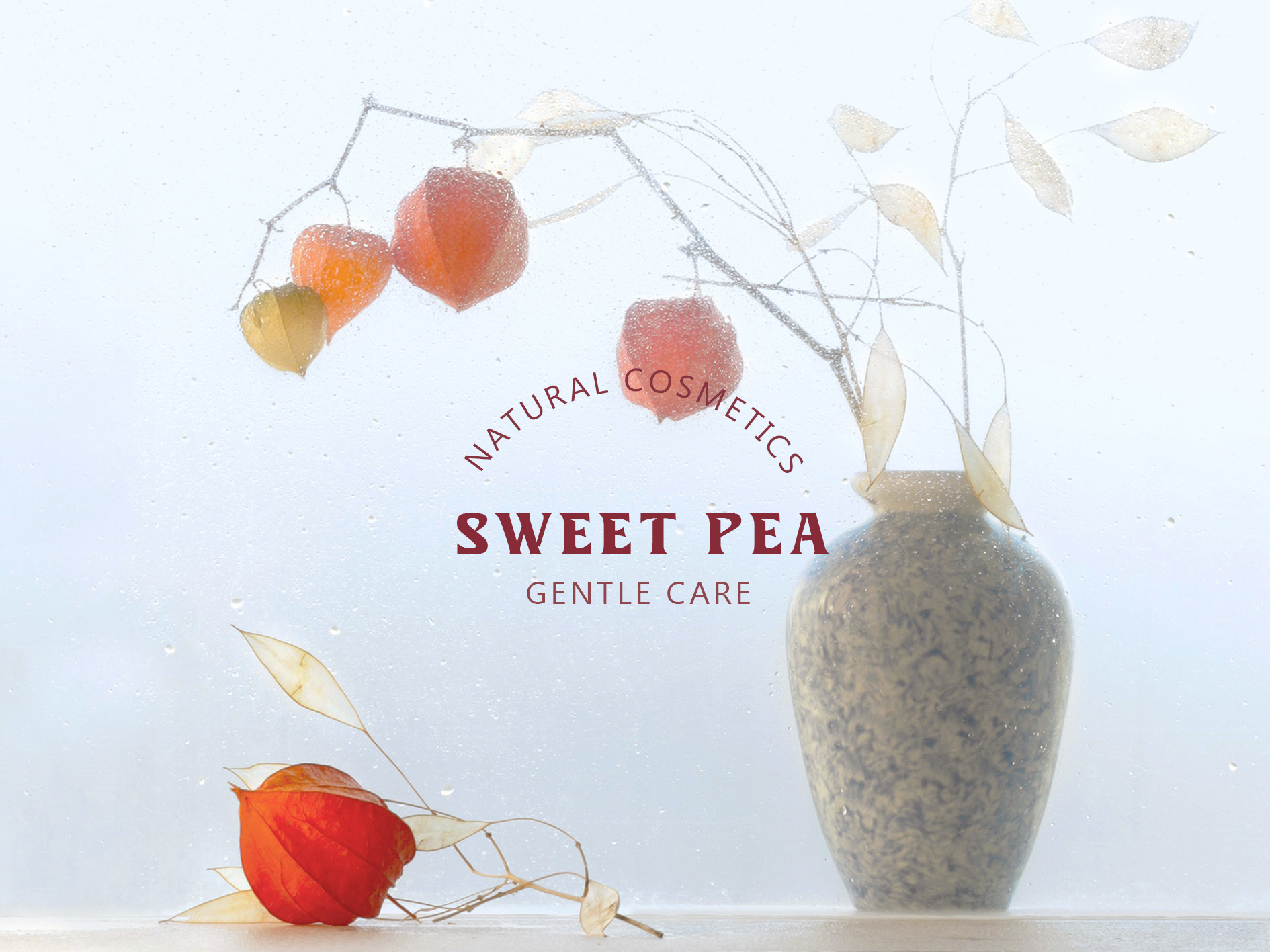 Sweet Pea Фирменный стиль — Изображение №1 — Брендинг на Dprofile