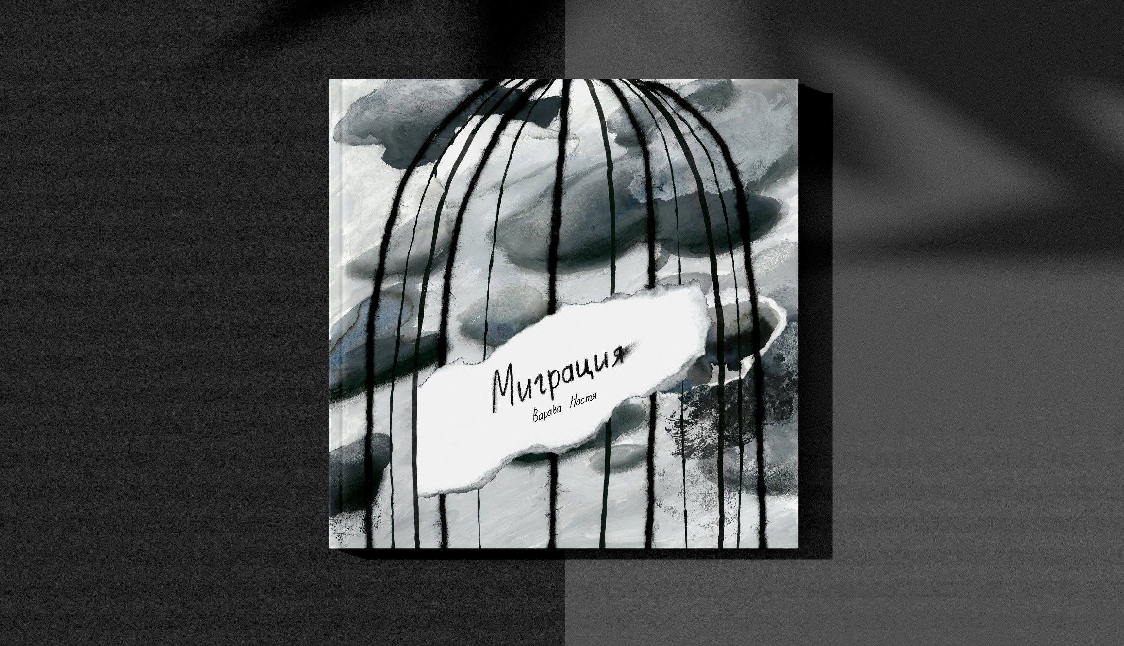 Silentbook "Migration" — Изображение №1 — Иллюстрация, Графика на Dprofile