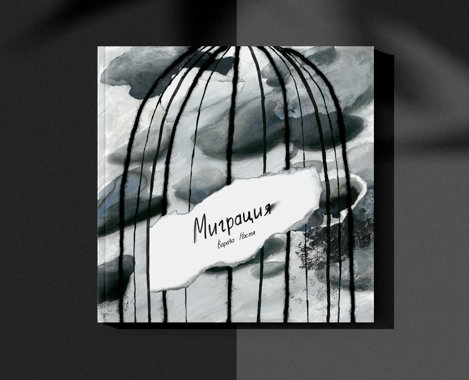 Silentbook "Migration" — Иллюстрация, Графика на Dprofile