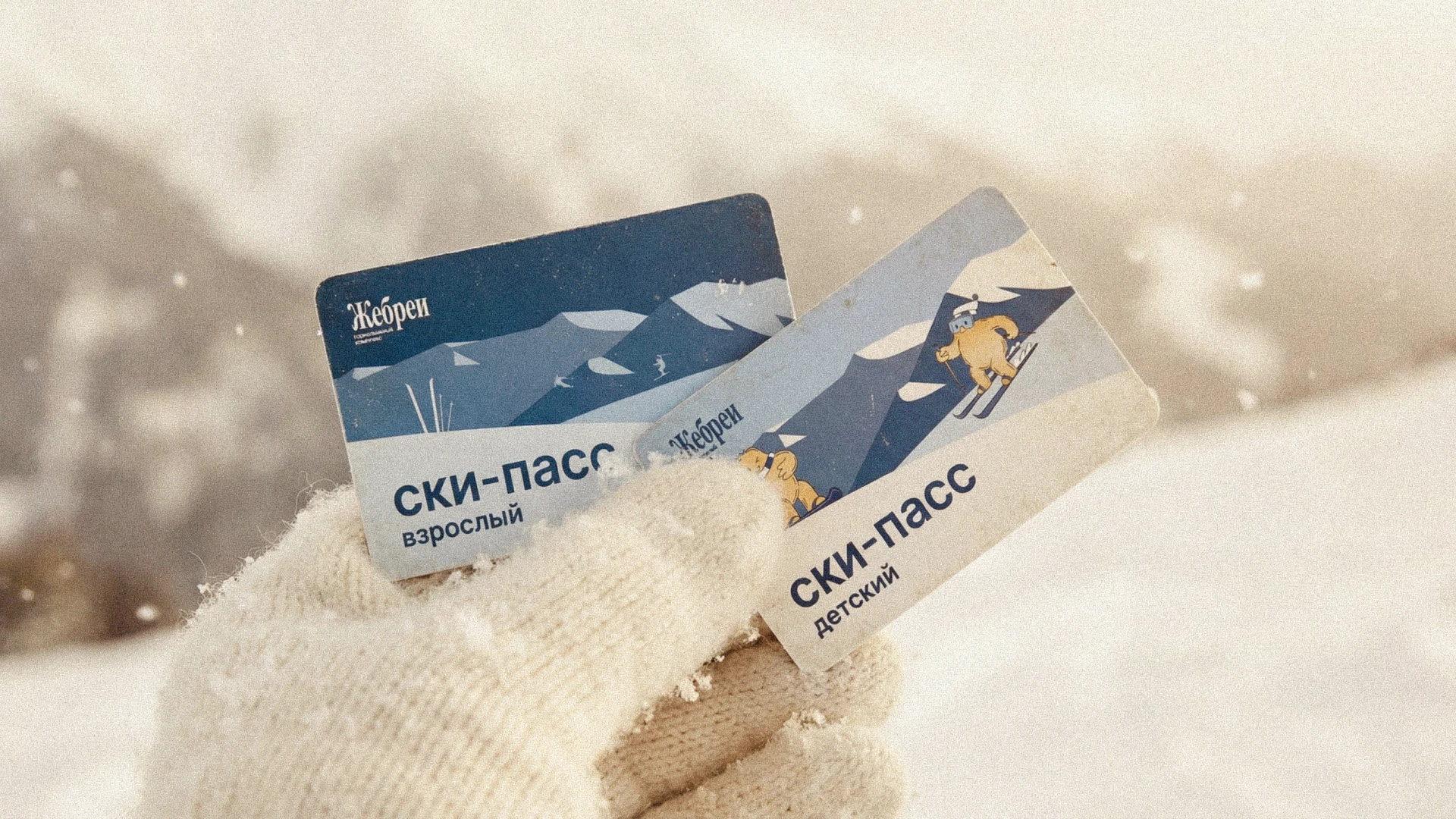 Фирменный стиль для горнолыжного комплекса "Жебреи" — Изображение №18 — Брендинг, Графика на Dprofile
