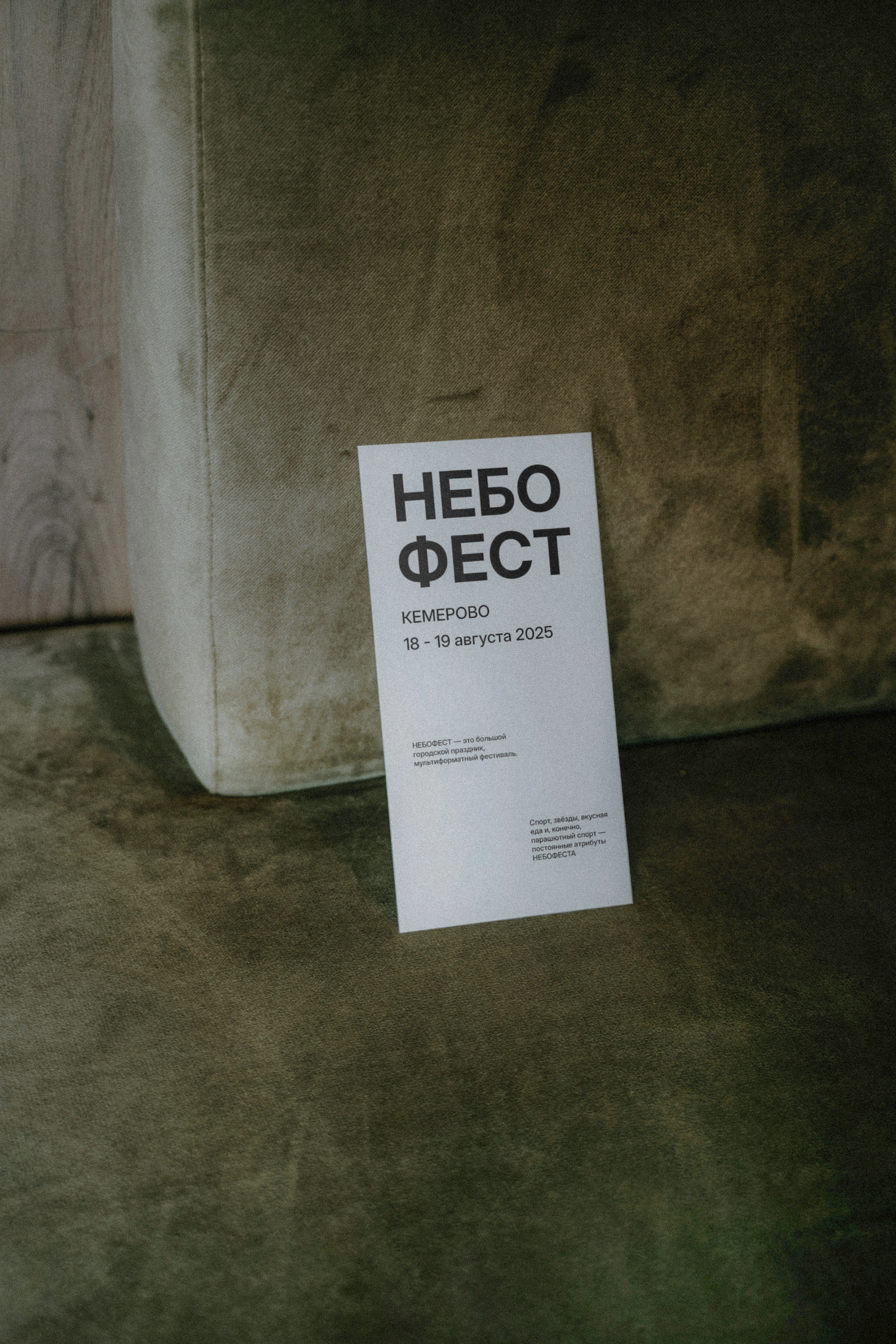 Полиграфическая продукция для фестиваля "НЕБОФЕСТ" — Изображение №8 — Графика на Dprofile
