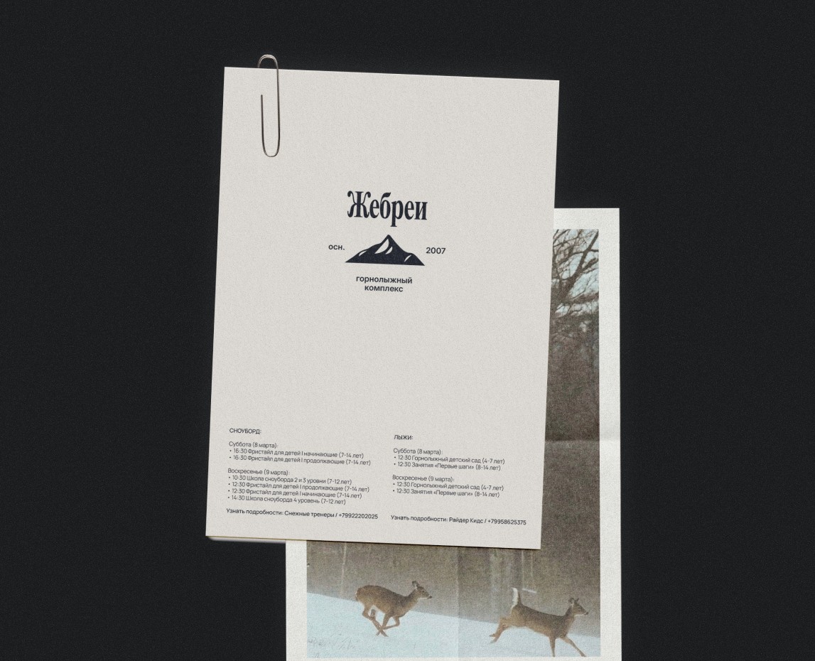 Фирменный стиль для горнолыжного комплекса "Жебреи" на Dprofile