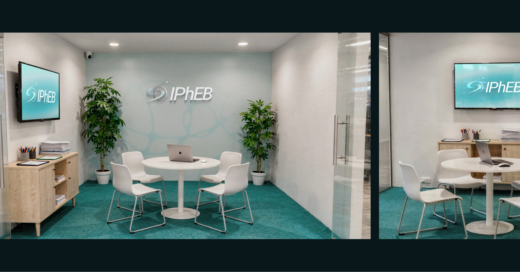 Международный форум IPhEB — Изображение №9 — Брендинг, Промдизайн на Dprofile