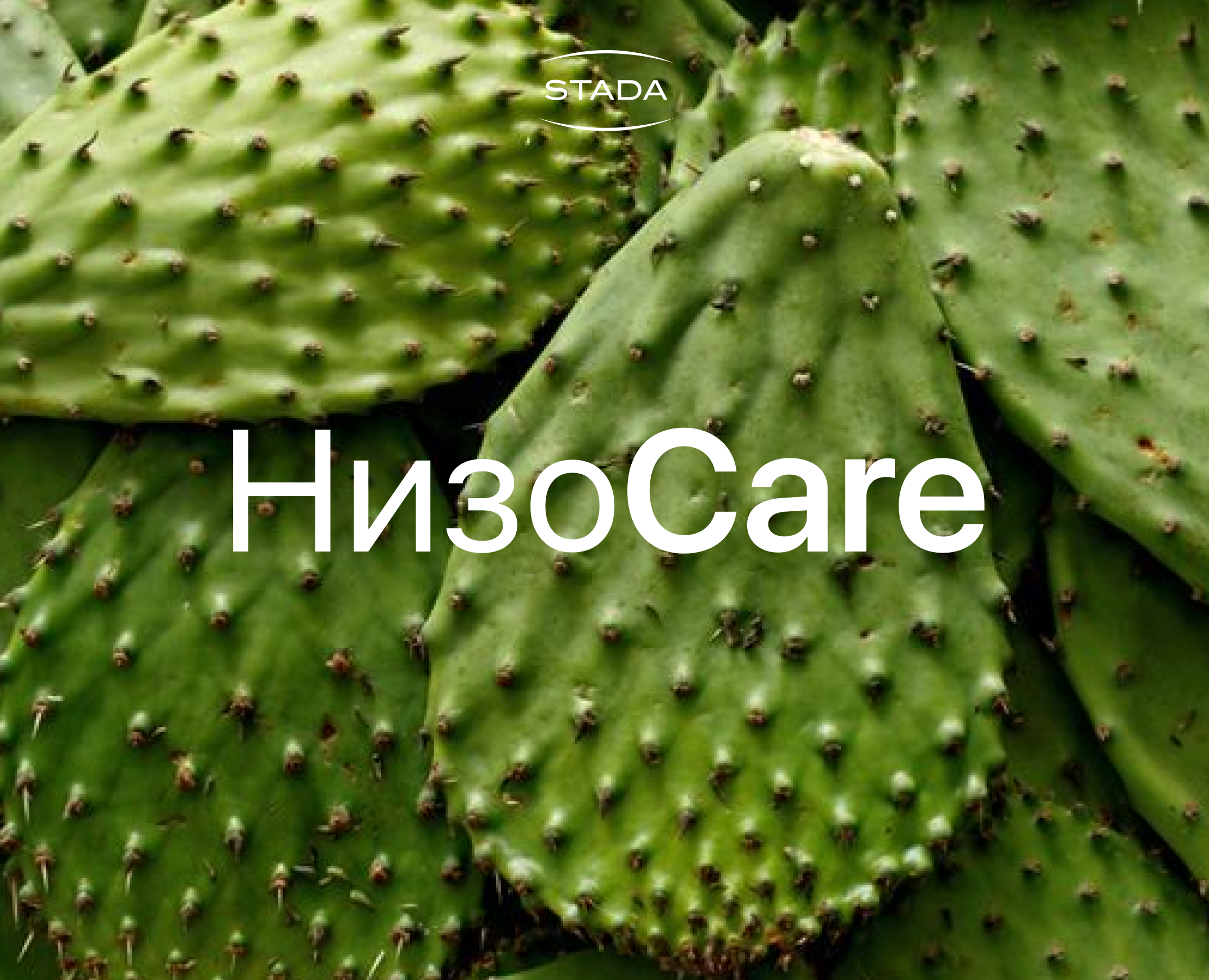STADA NizoCare shampoo | Упаковка — Брендинг на Dprofile