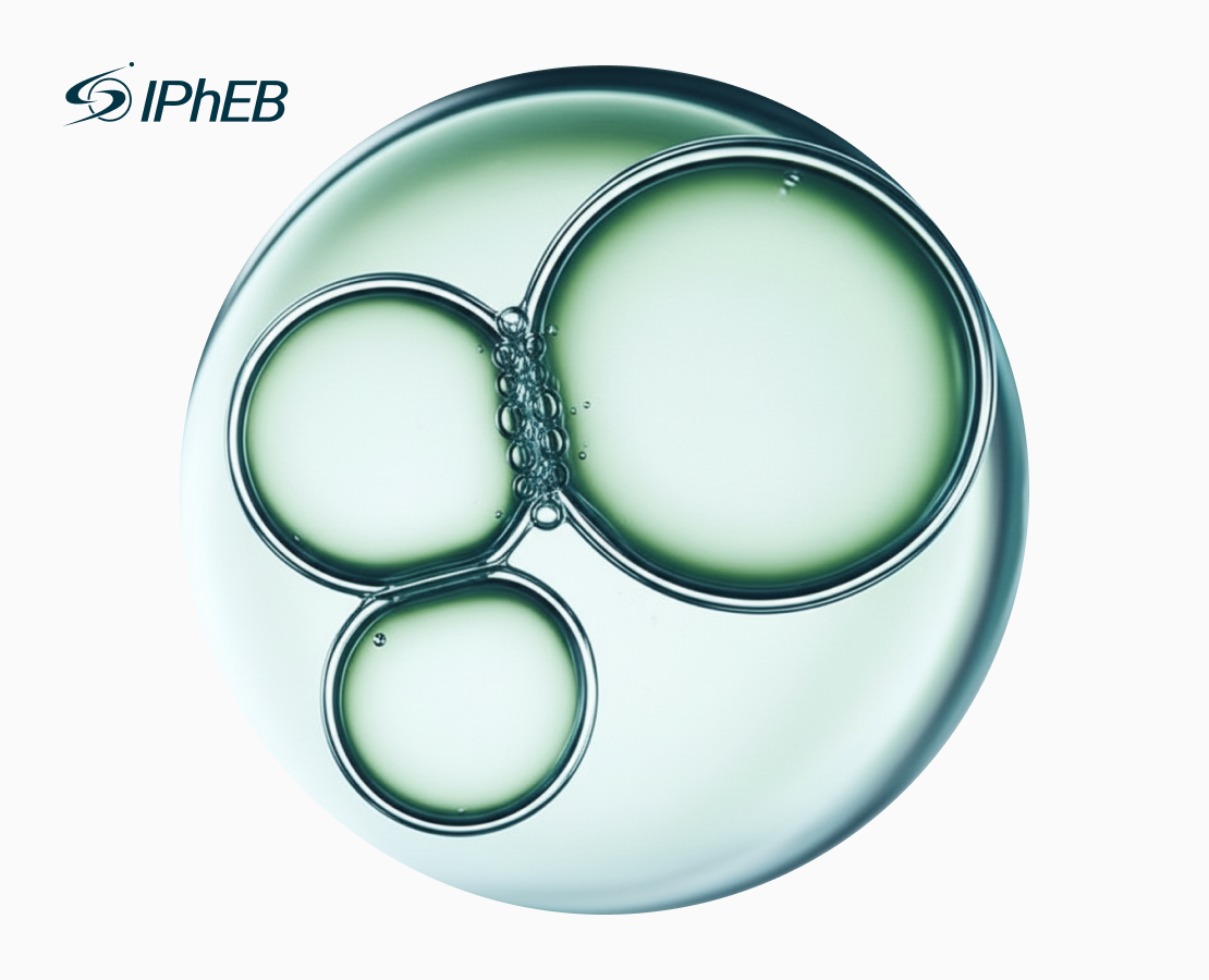 Международный форум IPhEB — Брендинг, Промдизайн на Dprofile