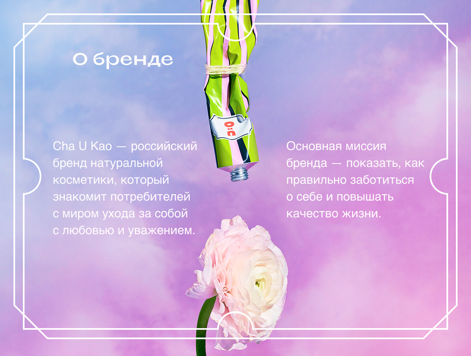 Дизайн упаковки для конкурса CHA U KAO x SKILLBOX — Изображение №2 — Брендинг на Dprofile