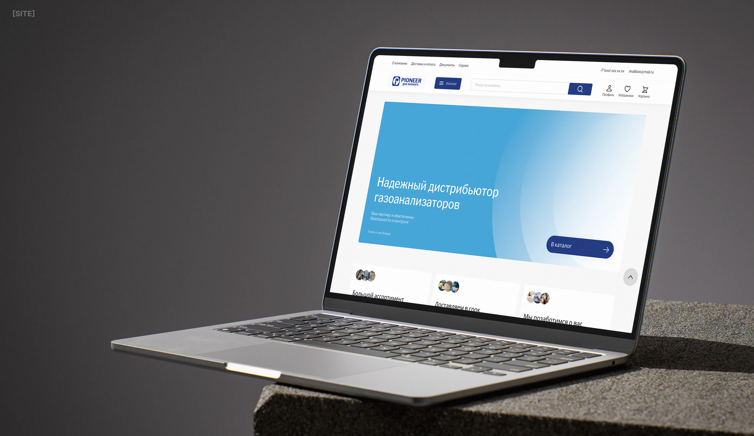 PIONEER | Интернет магазин газоанализаторов — Изображение №1 — Интерфейсы на Dprofile