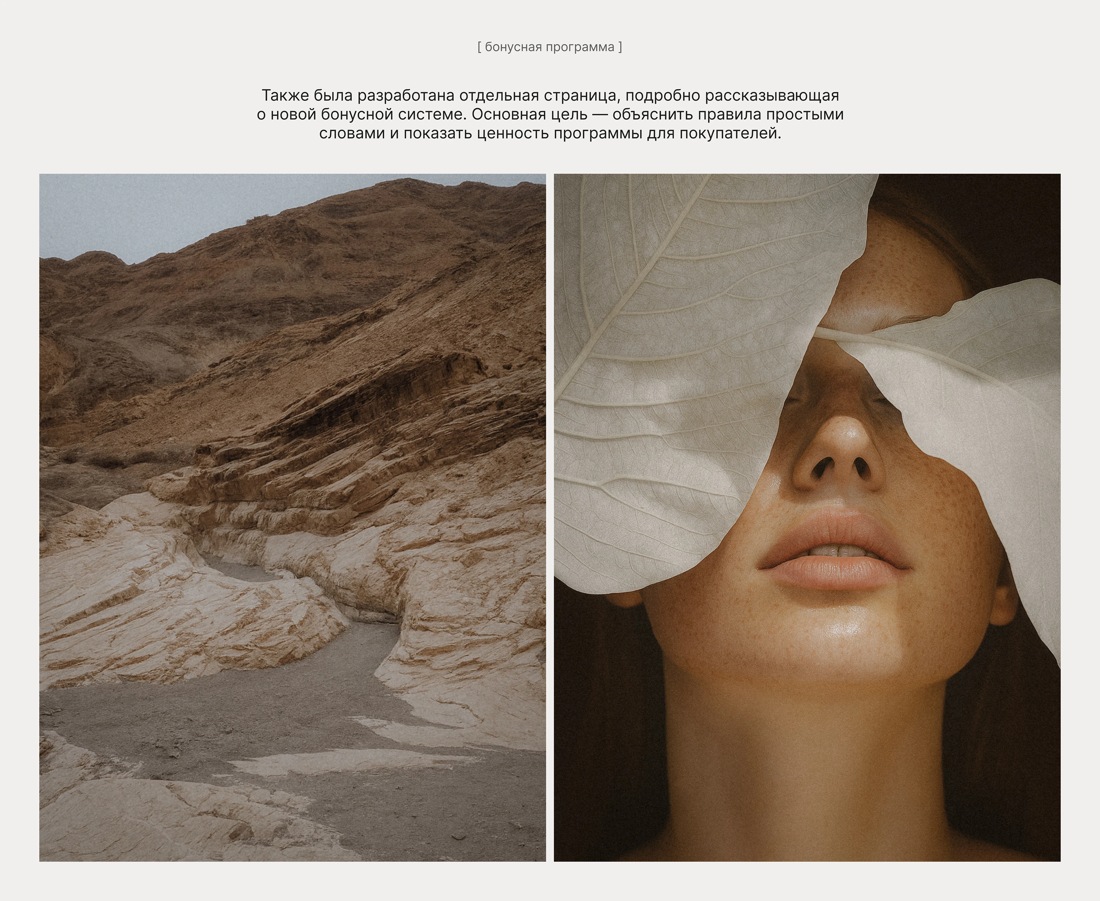 Личный кабинет E-commerce | Web-design — Изображение №7 — Интерфейсы на Dprofile