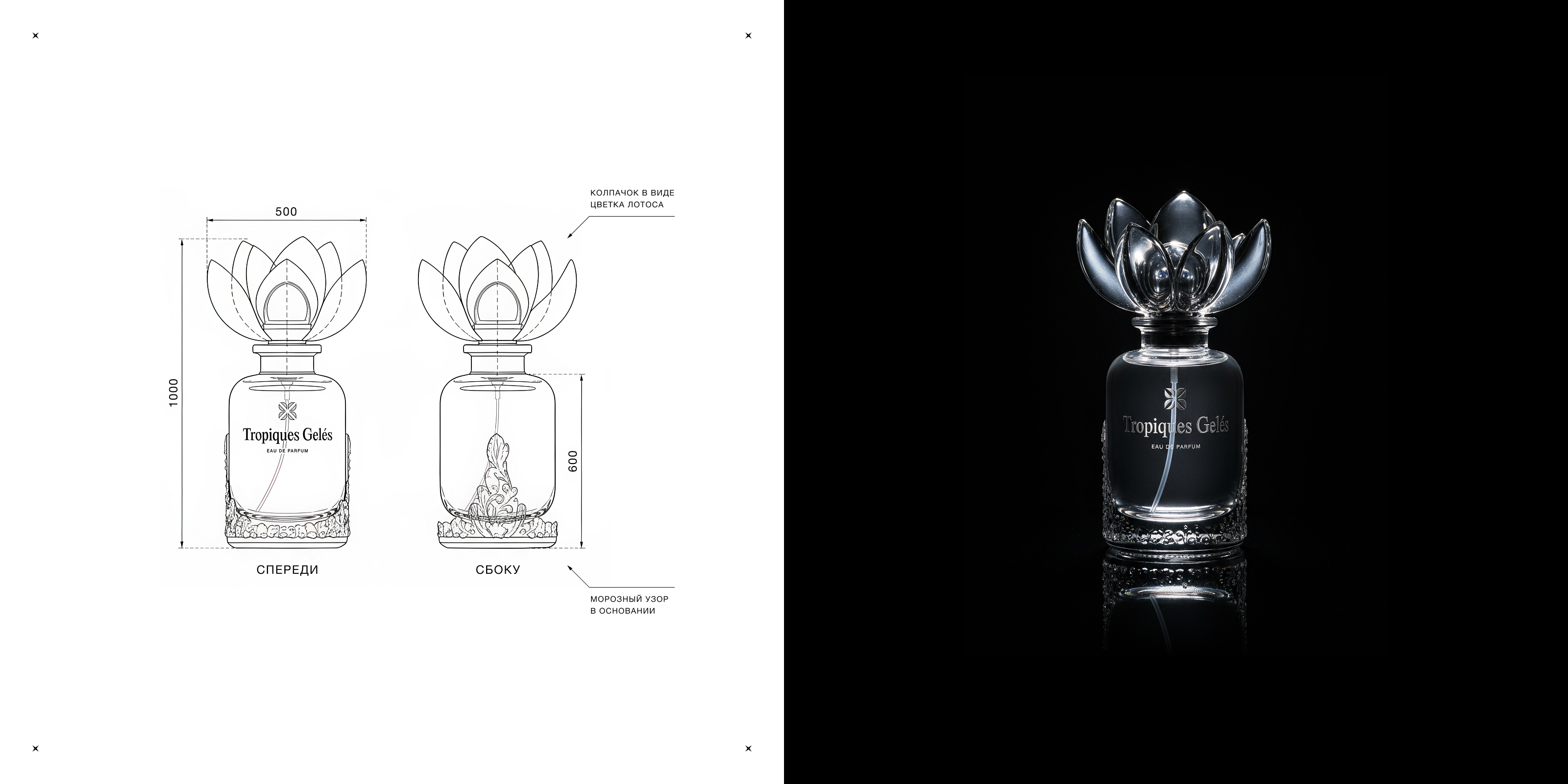 Tropiques Geles — Креативная концепция — Изображение №7 — Графика, Маркетинг на Dprofile