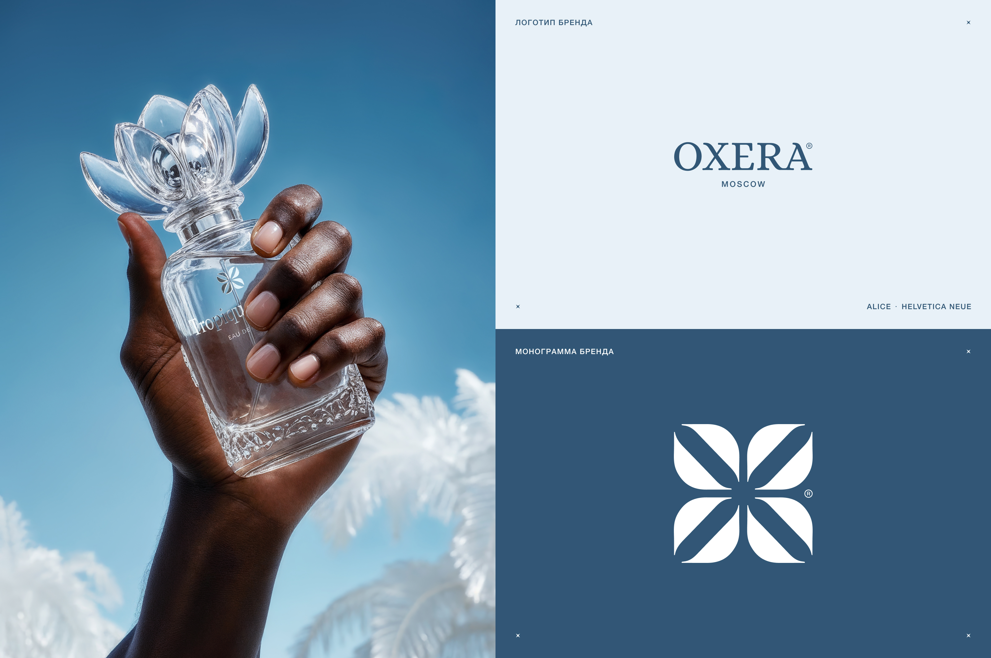 Tropiques Geles — Креативная концепция — Изображение №3 — Графика, Маркетинг на Dprofile