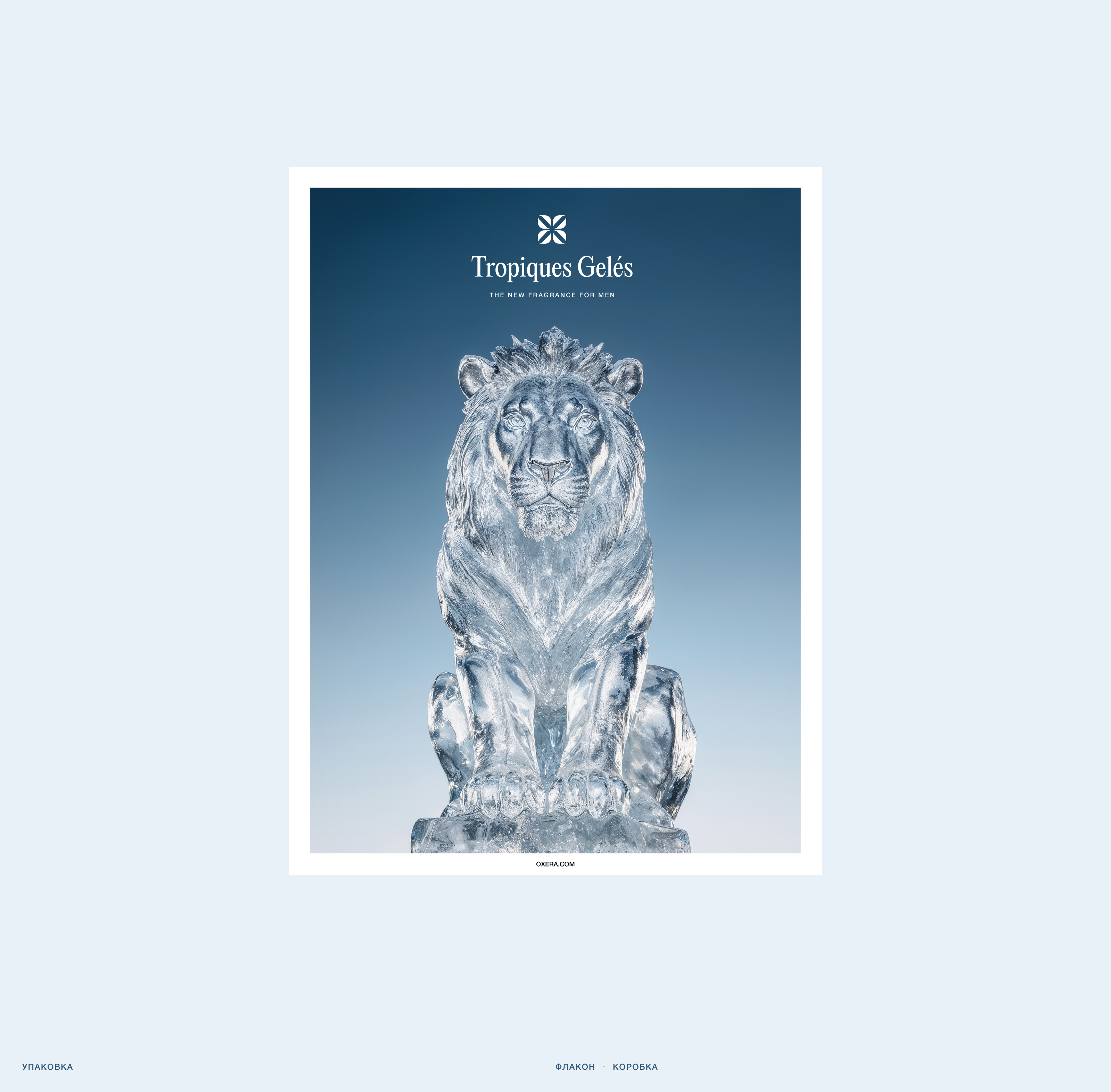 Tropiques Geles — Креативная концепция — Изображение №6 — Графика, Маркетинг на Dprofile