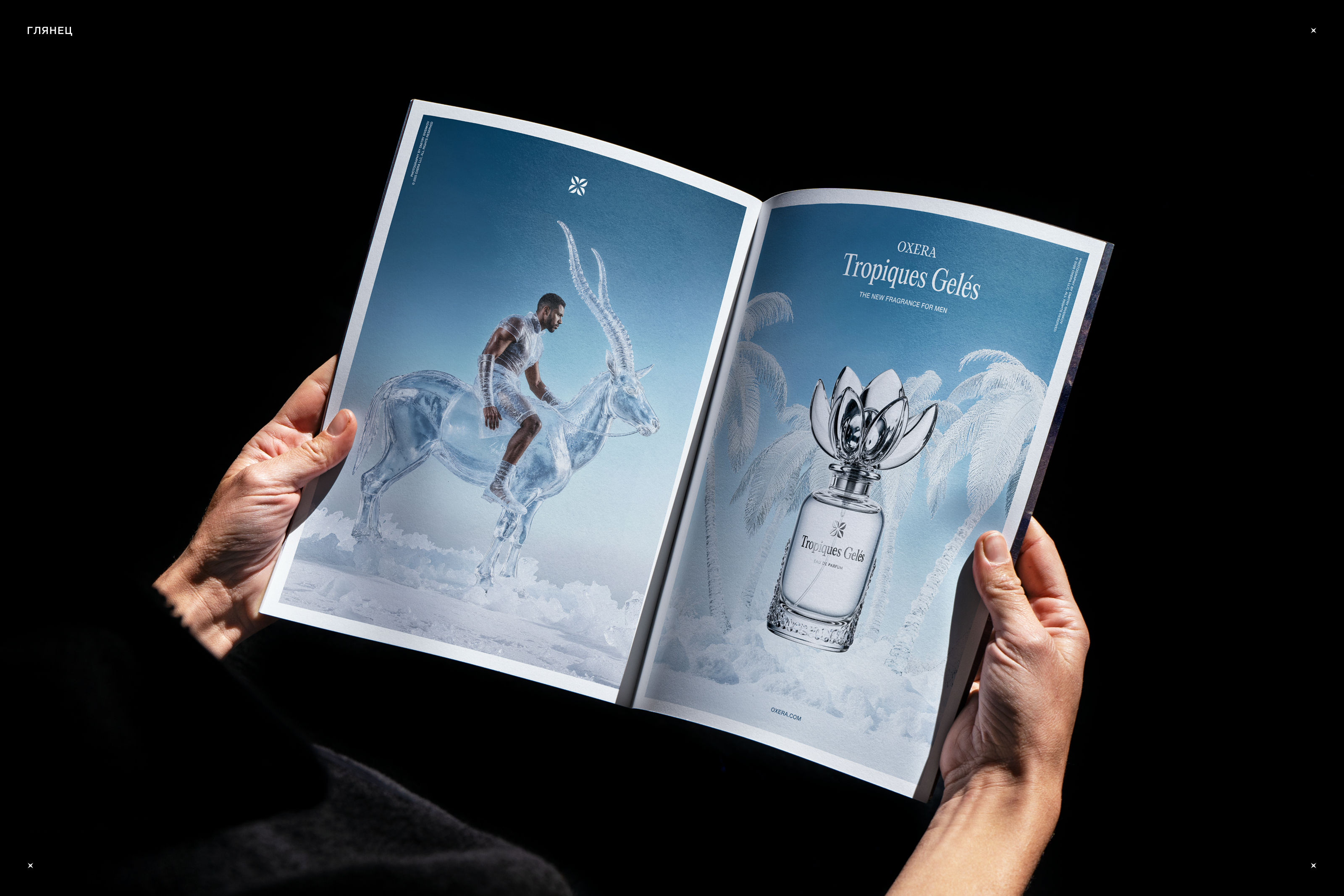 Tropiques Geles — Креативная концепция — Изображение №15 — Графика, Маркетинг на Dprofile